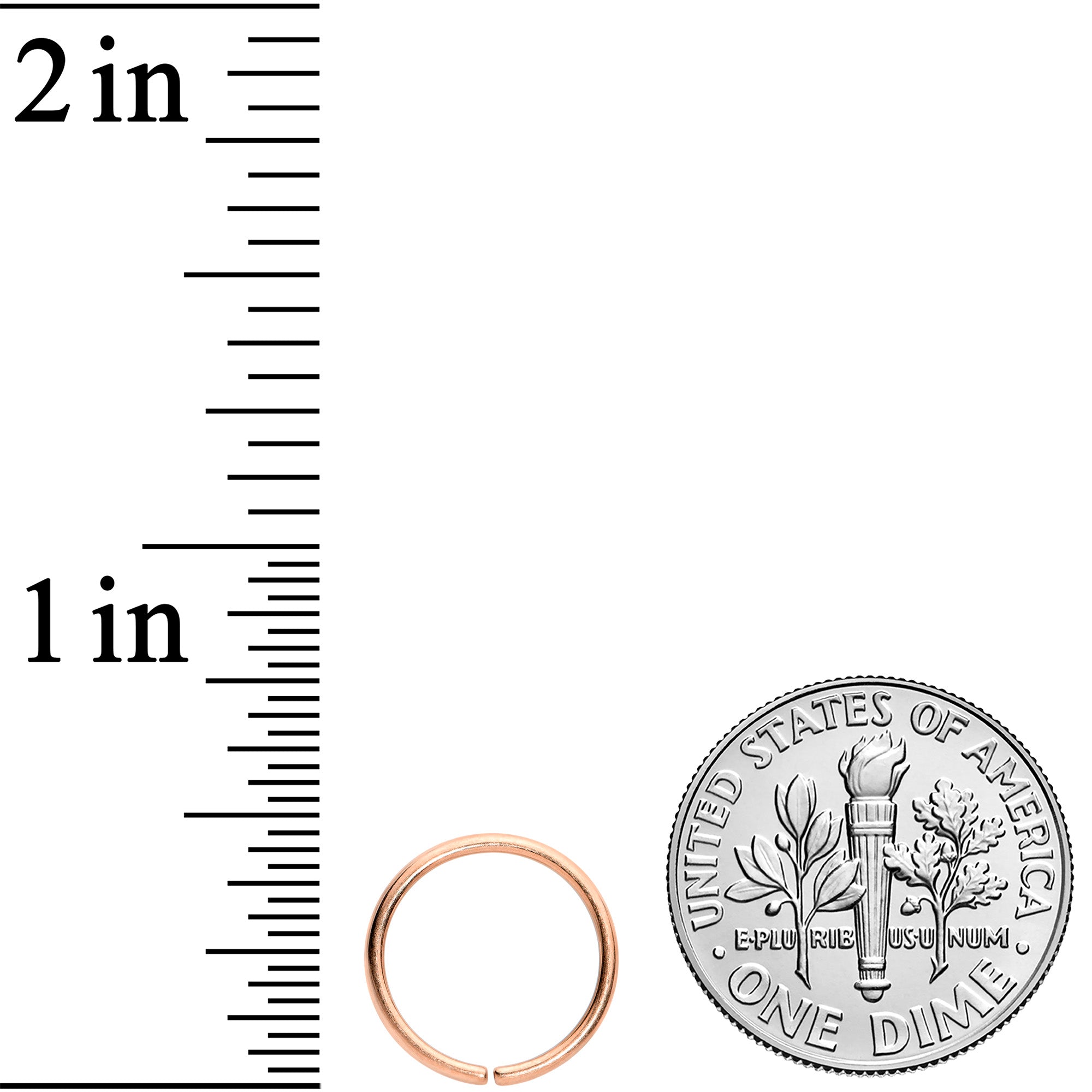 18G 3/8 Rose Gold Tone PVD Grade 23 Titanium Bendable Hoop Ring