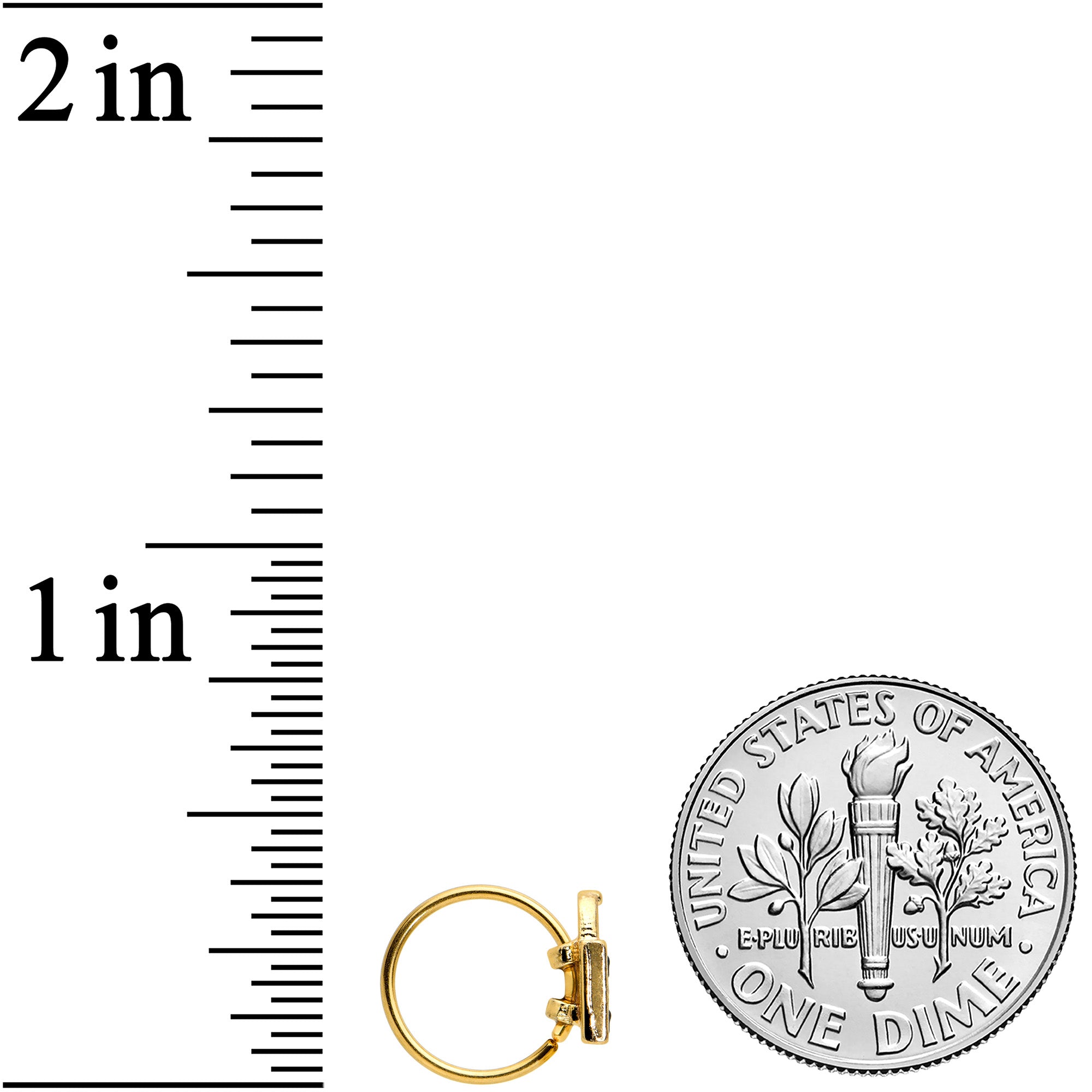 20G 5/16 Gold Tone Trick or Treat Bag Halloween Nose Hoop