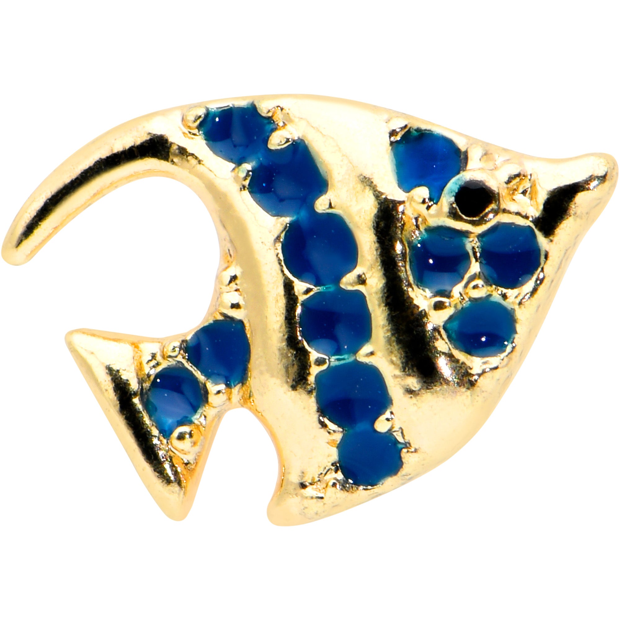 16G 5/16 Gold Tone Blue Adorable Angelfish Labret Monroe Tragus