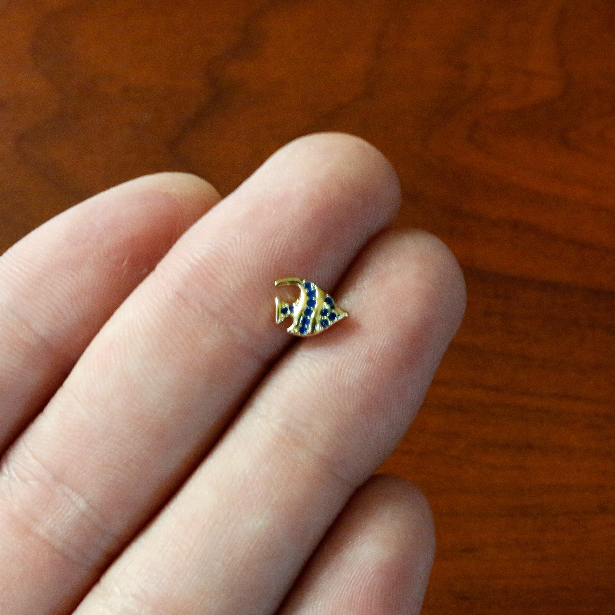 16G 5/16 Gold Tone Blue Adorable Angelfish Labret Monroe Tragus