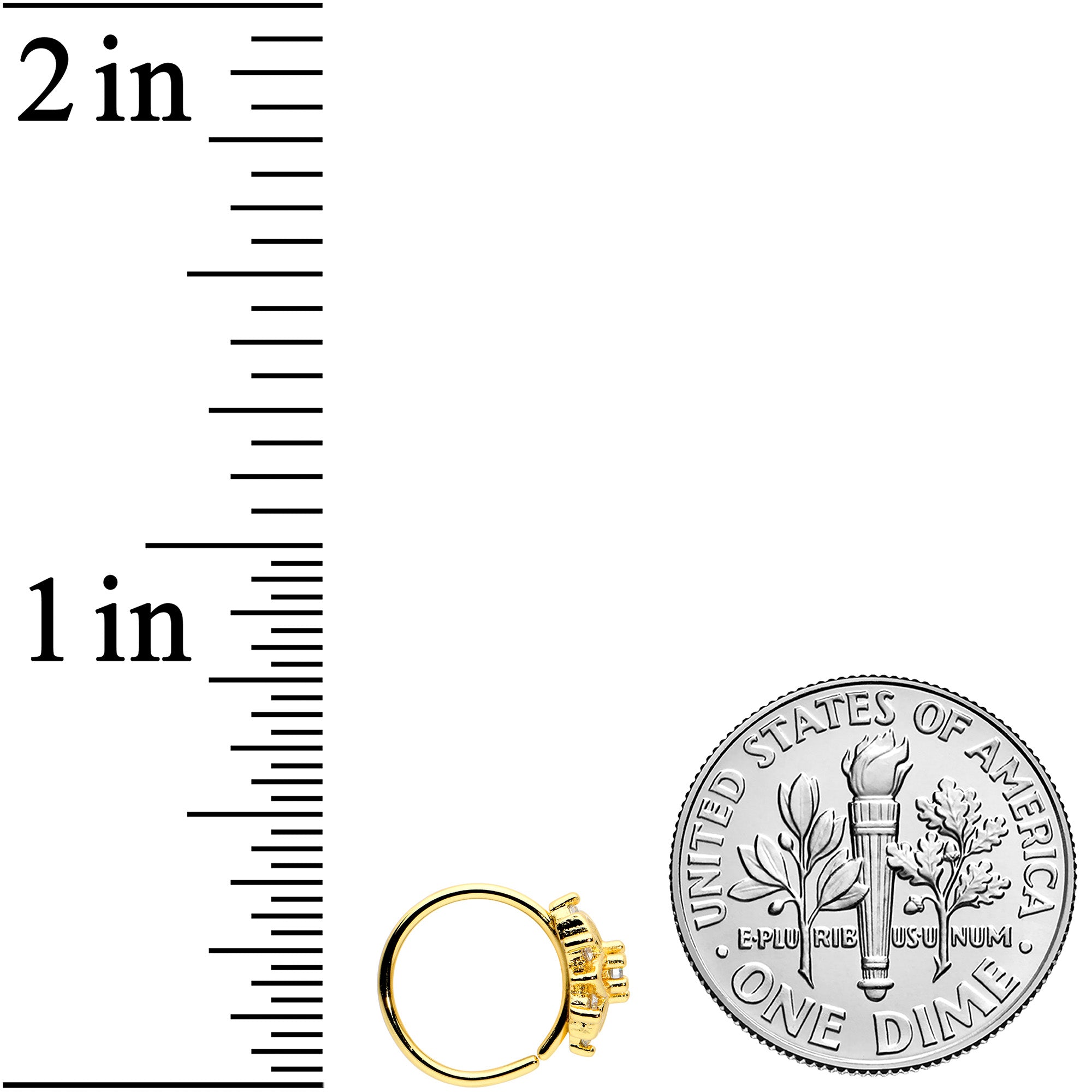 20G 5/16 Clear CZ Gem Gold Tone Flower Snowflake Nose Hoop