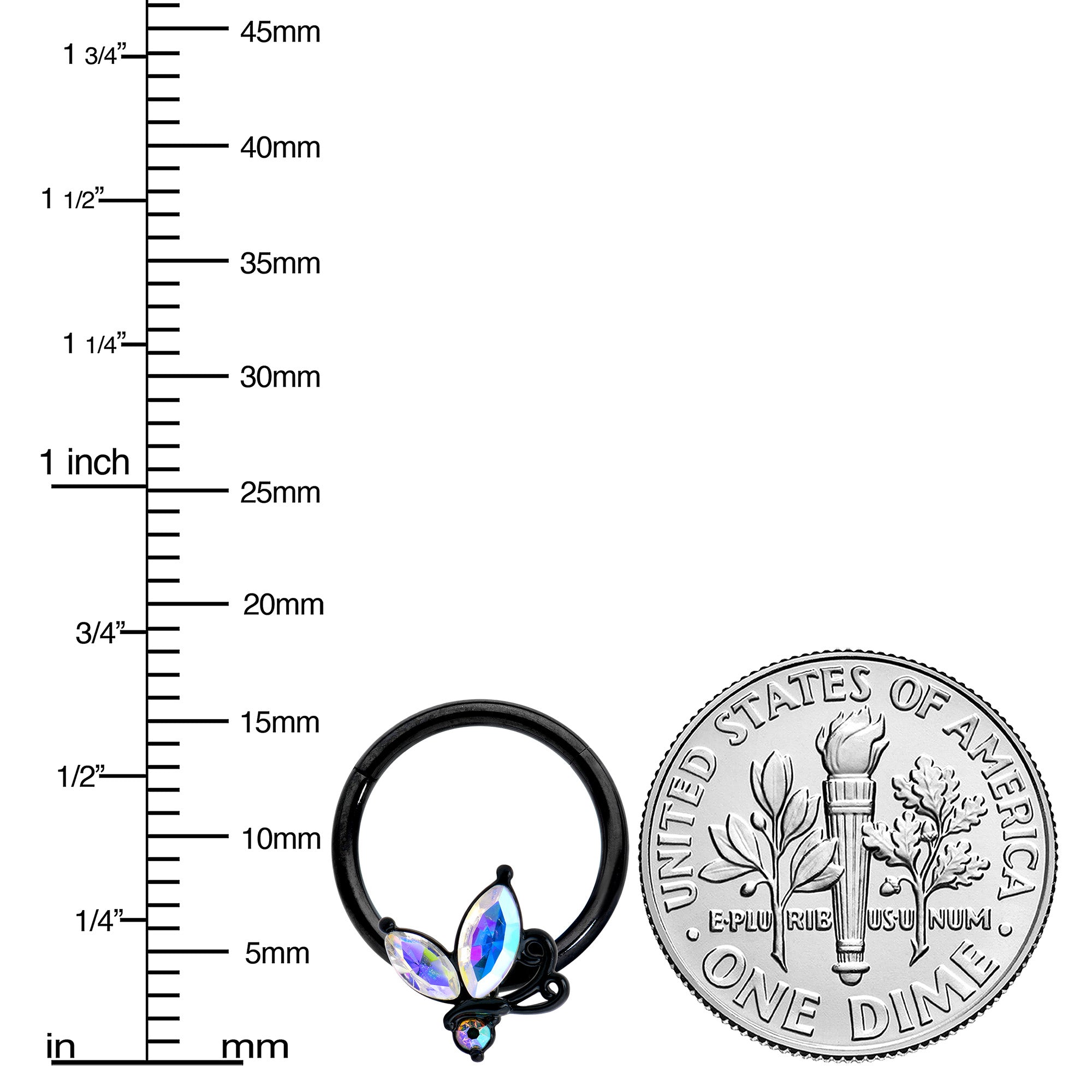 16G 3/8 Aurora CZ Gem Black Fleur de Lis Butterfly Hinged Segment Ring