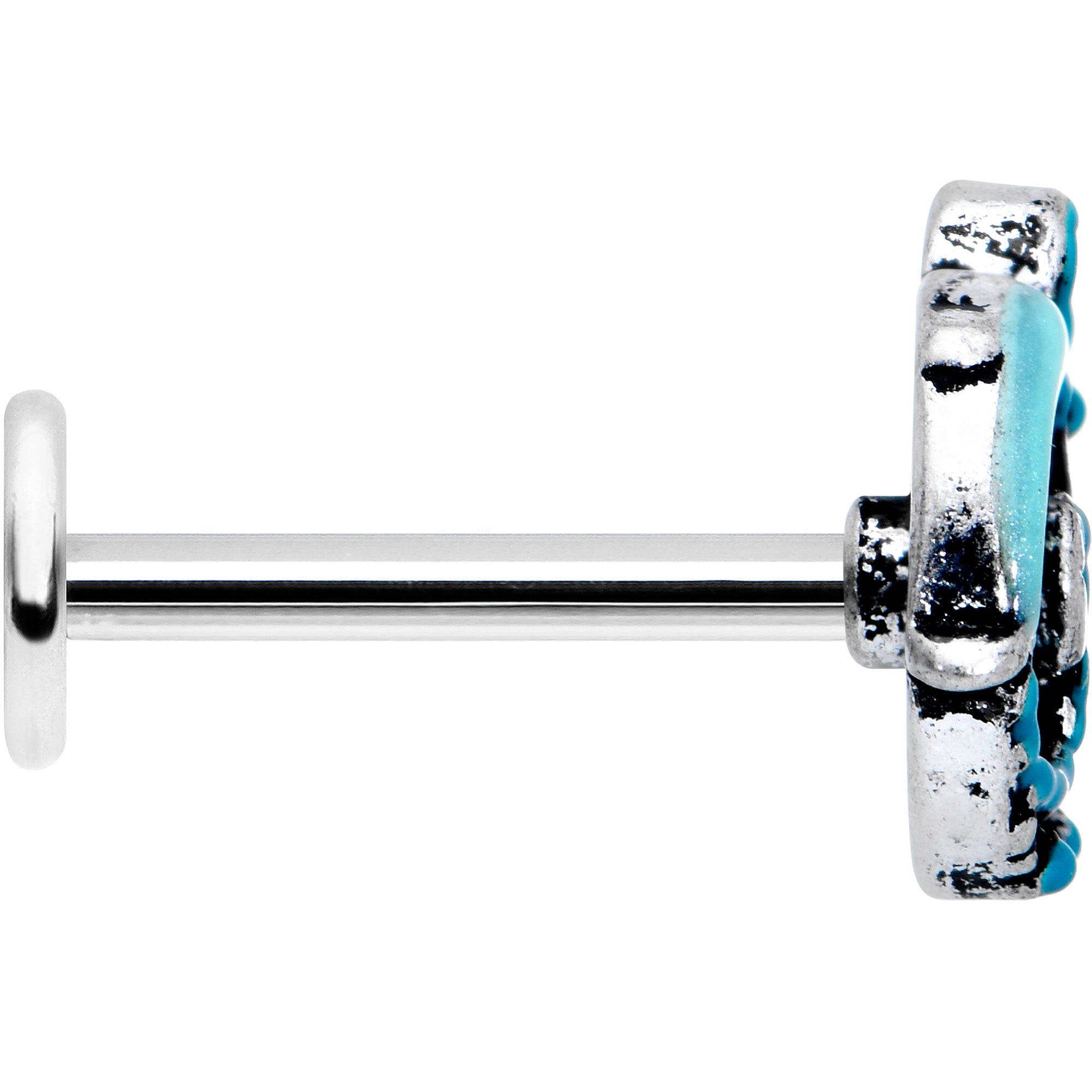 16G 5/16 Leaping Blue Dolphin Labret Monroe Tragus