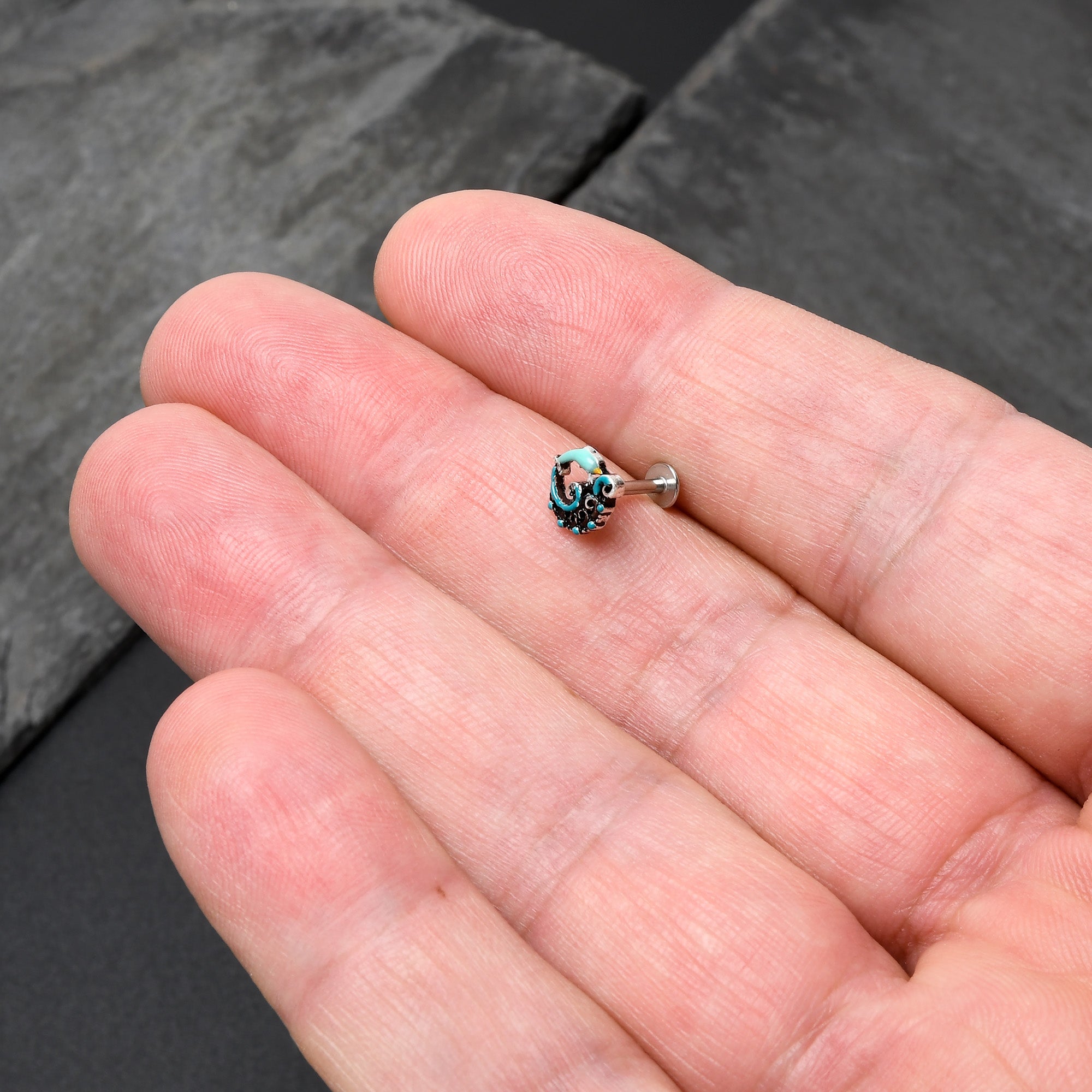 16G 5/16 Leaping Blue Dolphin Labret Monroe Tragus