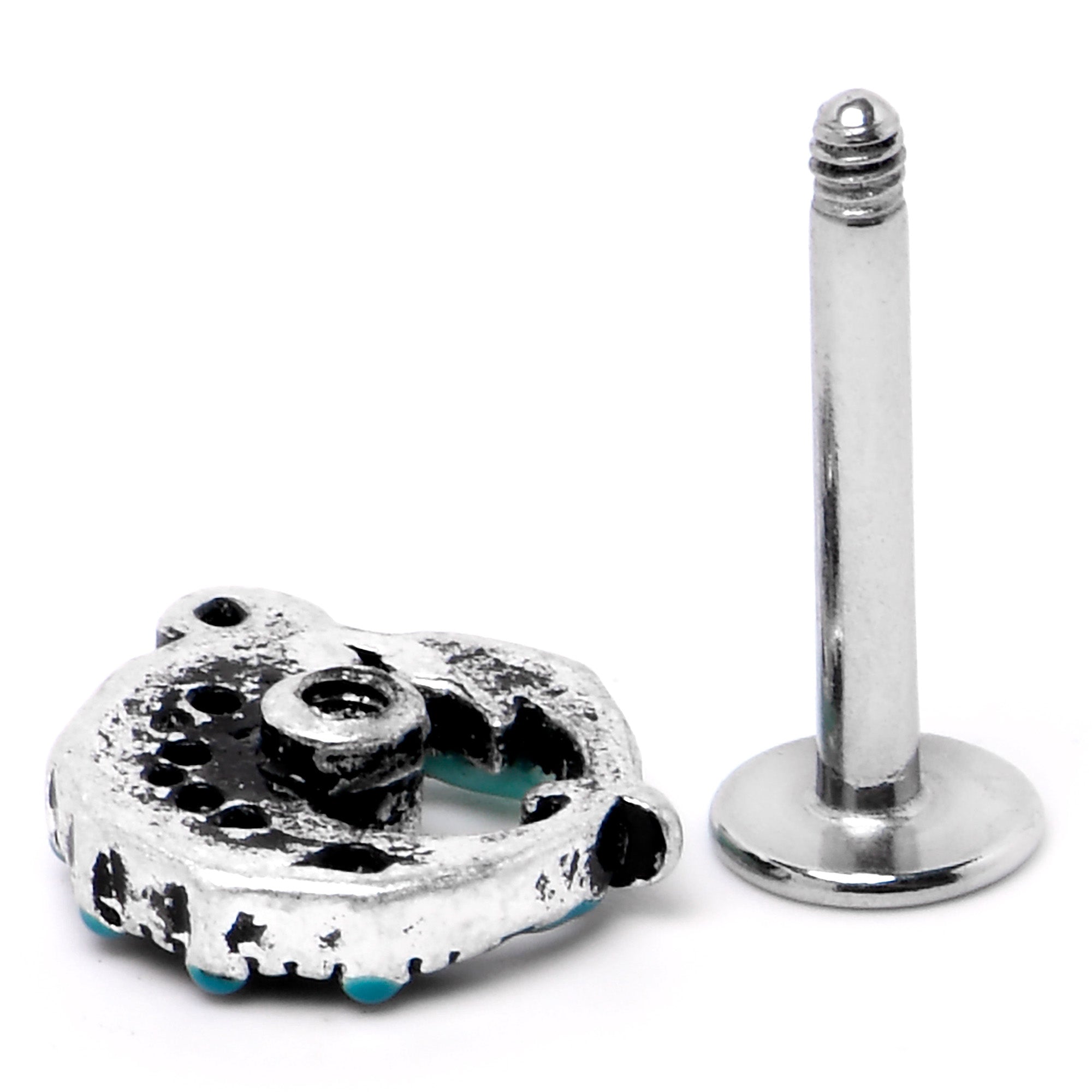 16G 5/16 Leaping Blue Dolphin Labret Monroe Tragus