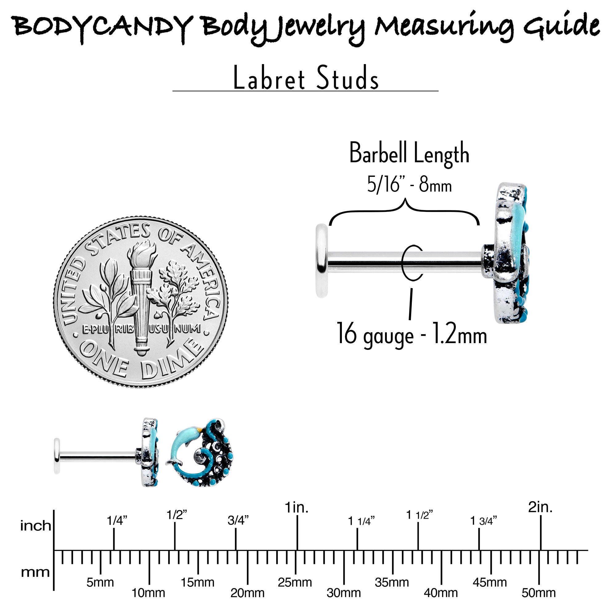 16G 5/16 Leaping Blue Dolphin Labret Monroe Tragus