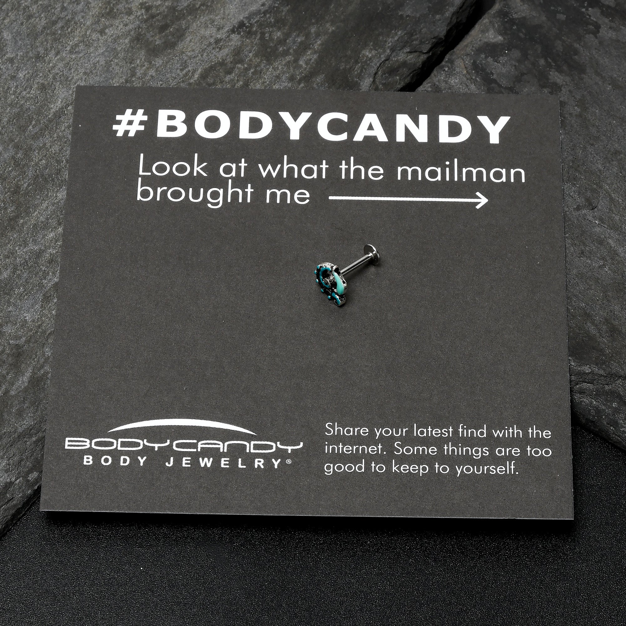 16G 5/16 Leaping Blue Dolphin Labret Monroe Tragus