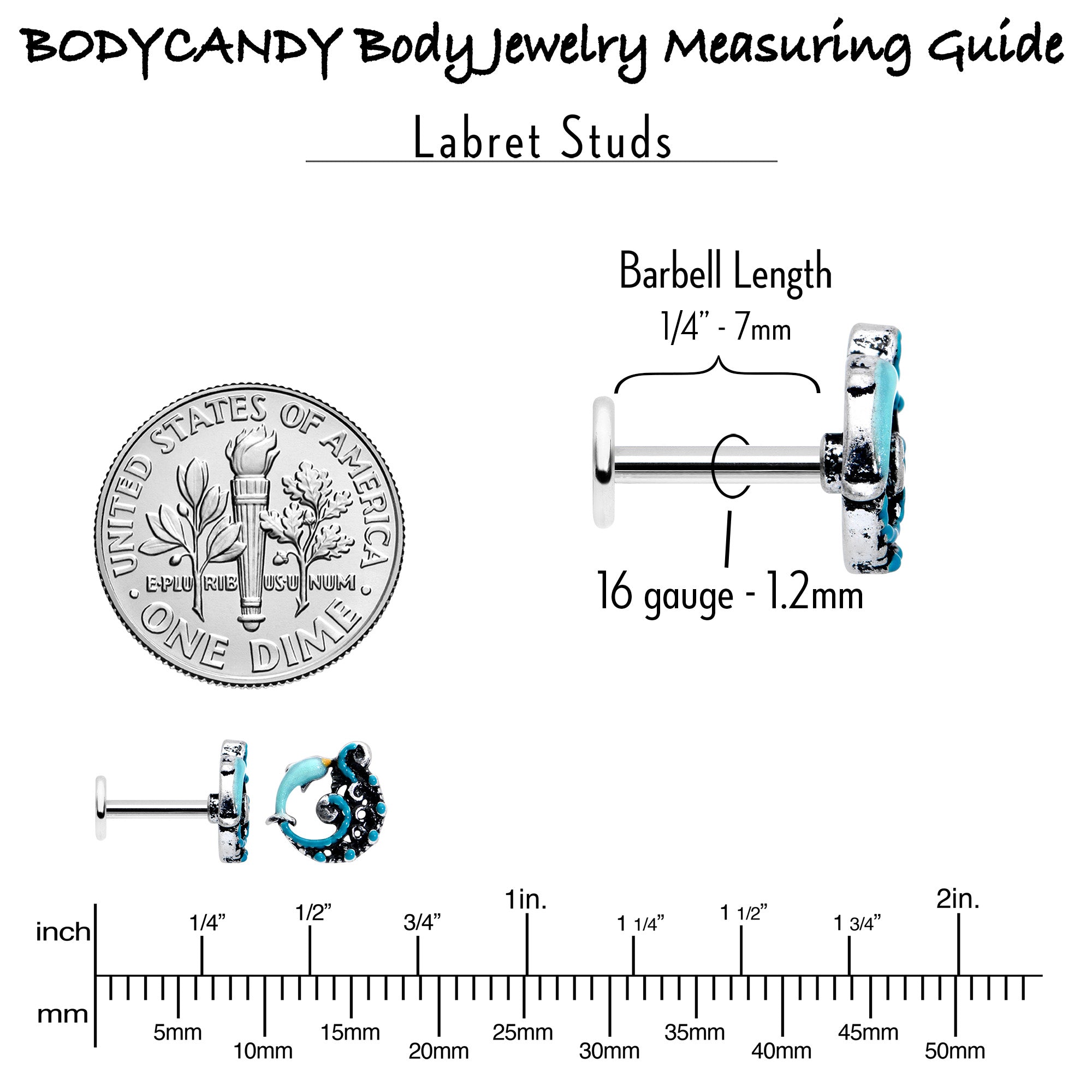 16G 1/4 Leaping Blue Dolphin Labret