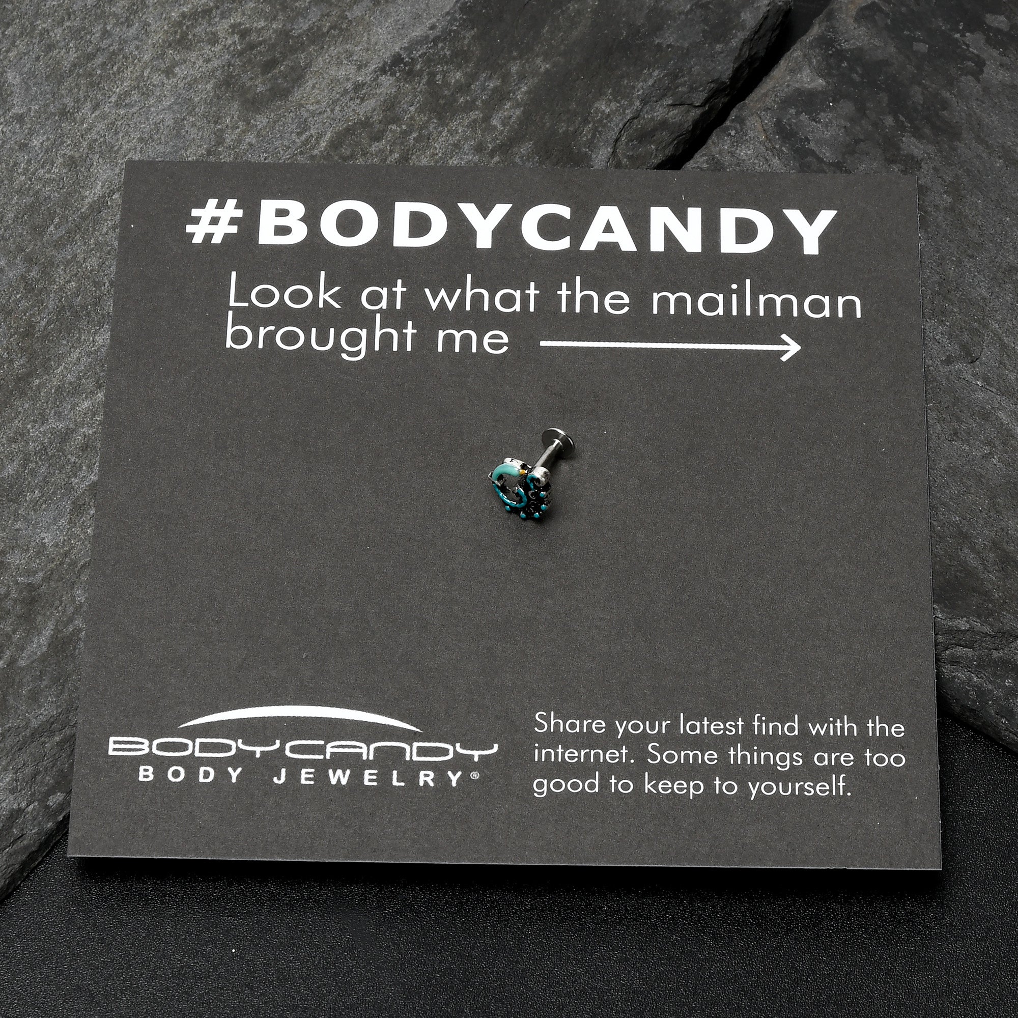 16G 1/4 Leaping Blue Dolphin Labret