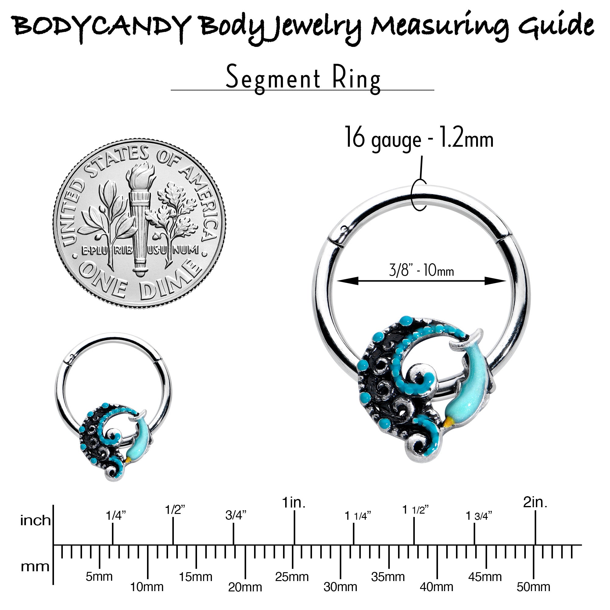 16G 3/8 Leaping Blue Dolphin Hinged Segment Ring