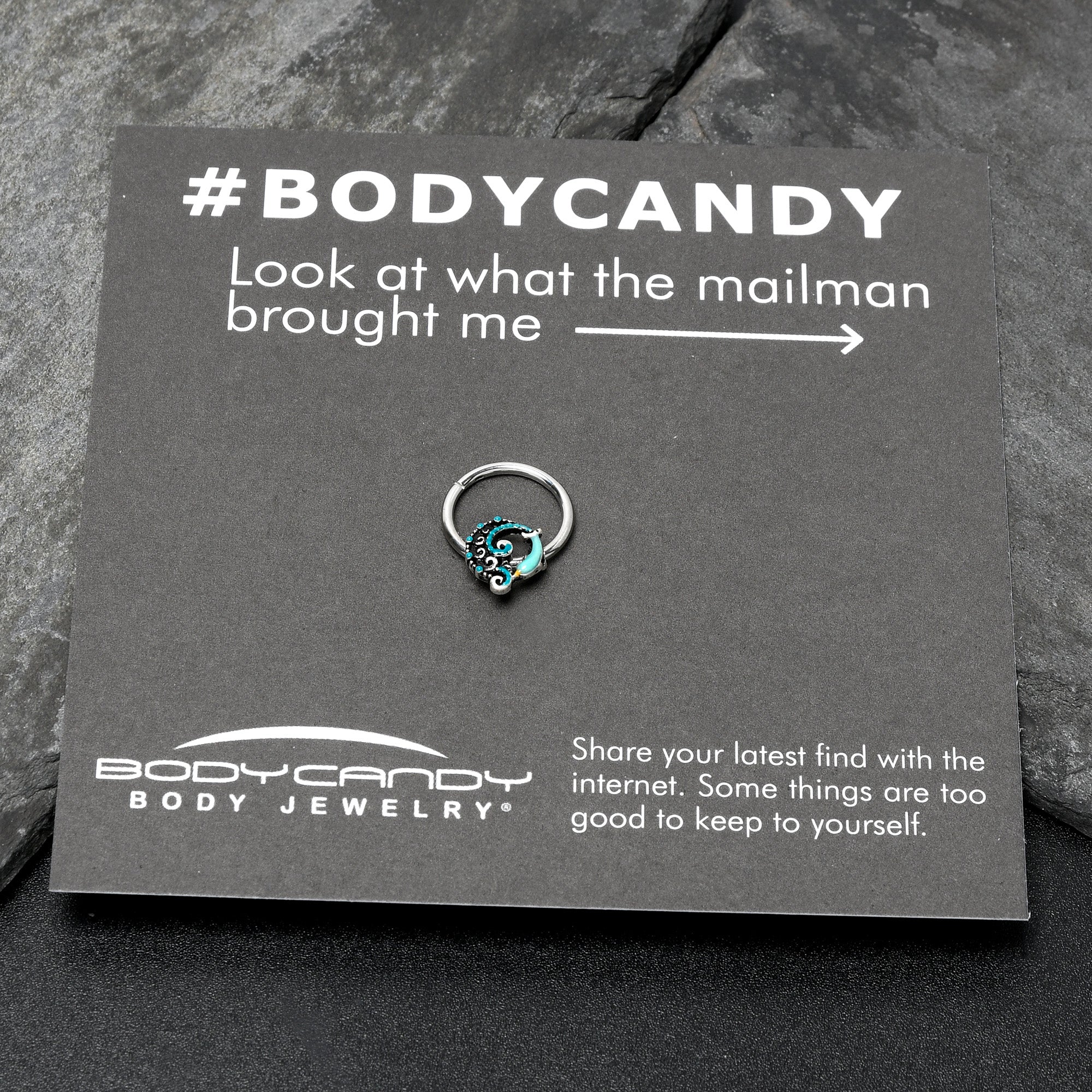 16G 3/8 Leaping Blue Dolphin Hinged Segment Ring