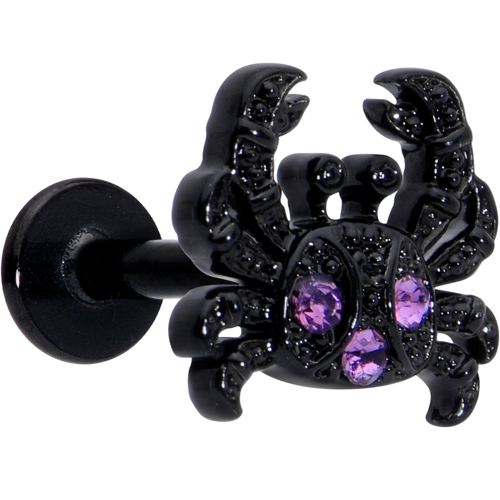16G 1/4 Purple Gem Black Chic Crab Labret