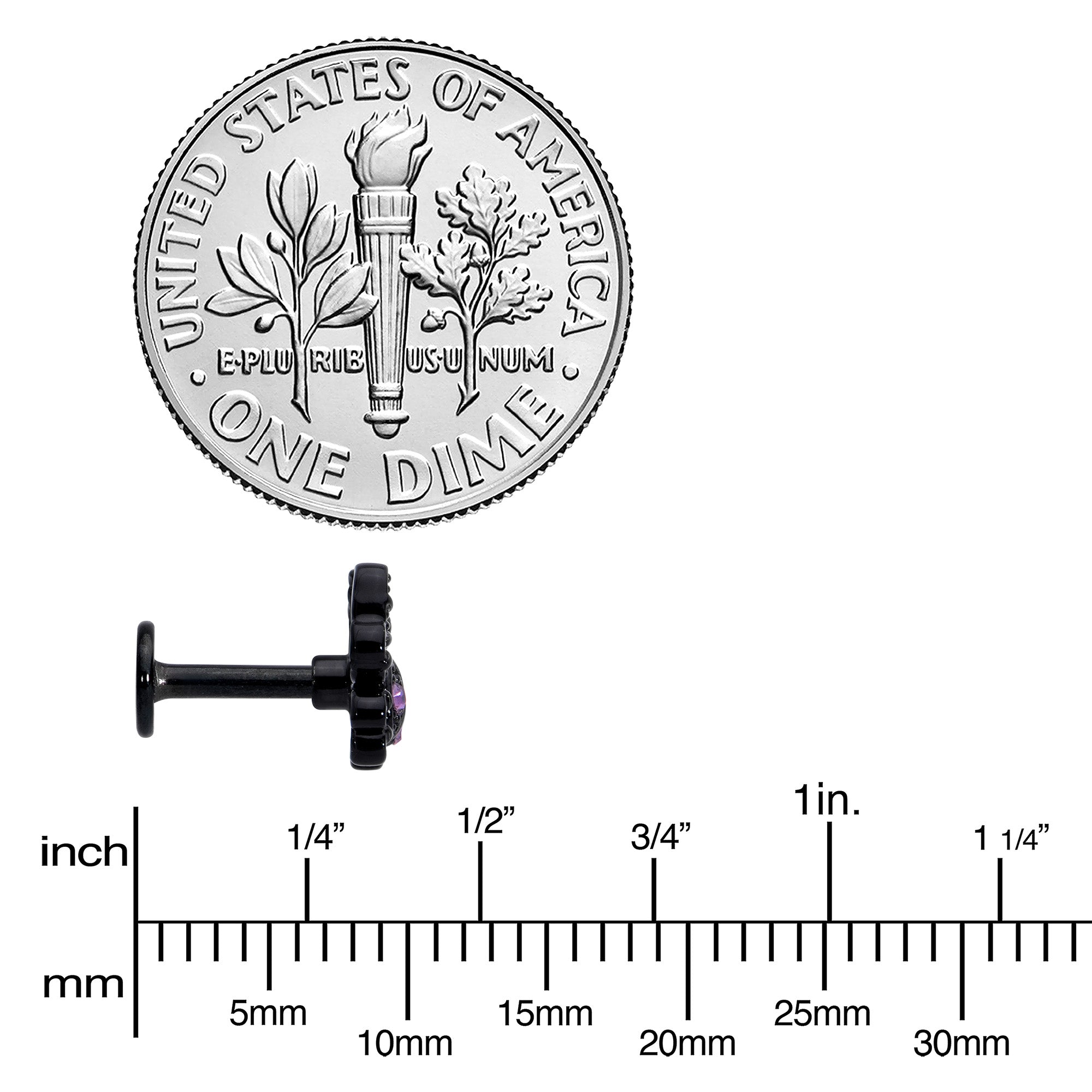 16G 1/4 Purple Gem Black Chic Crab Labret