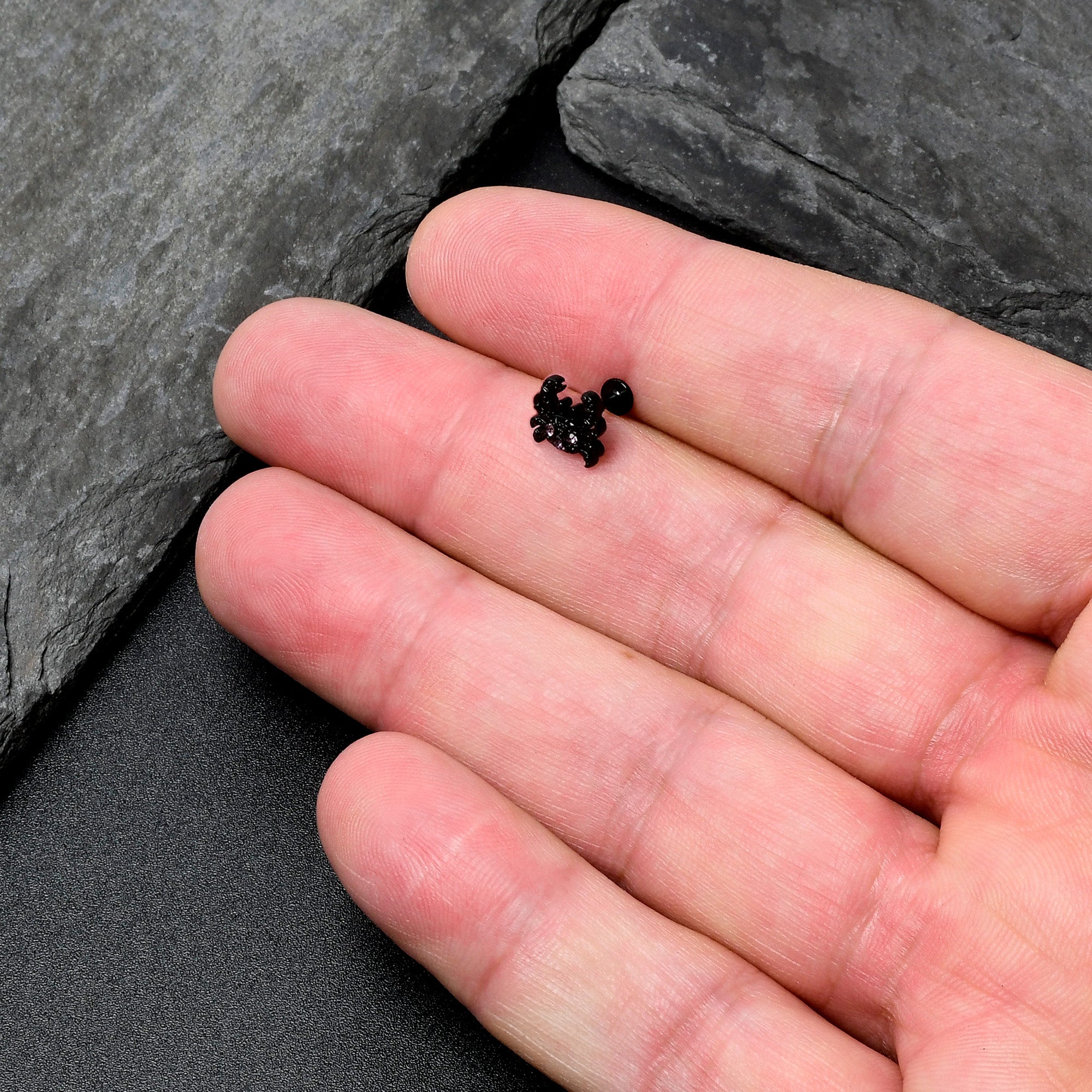 16G 1/4 Purple Gem Black Chic Crab Labret