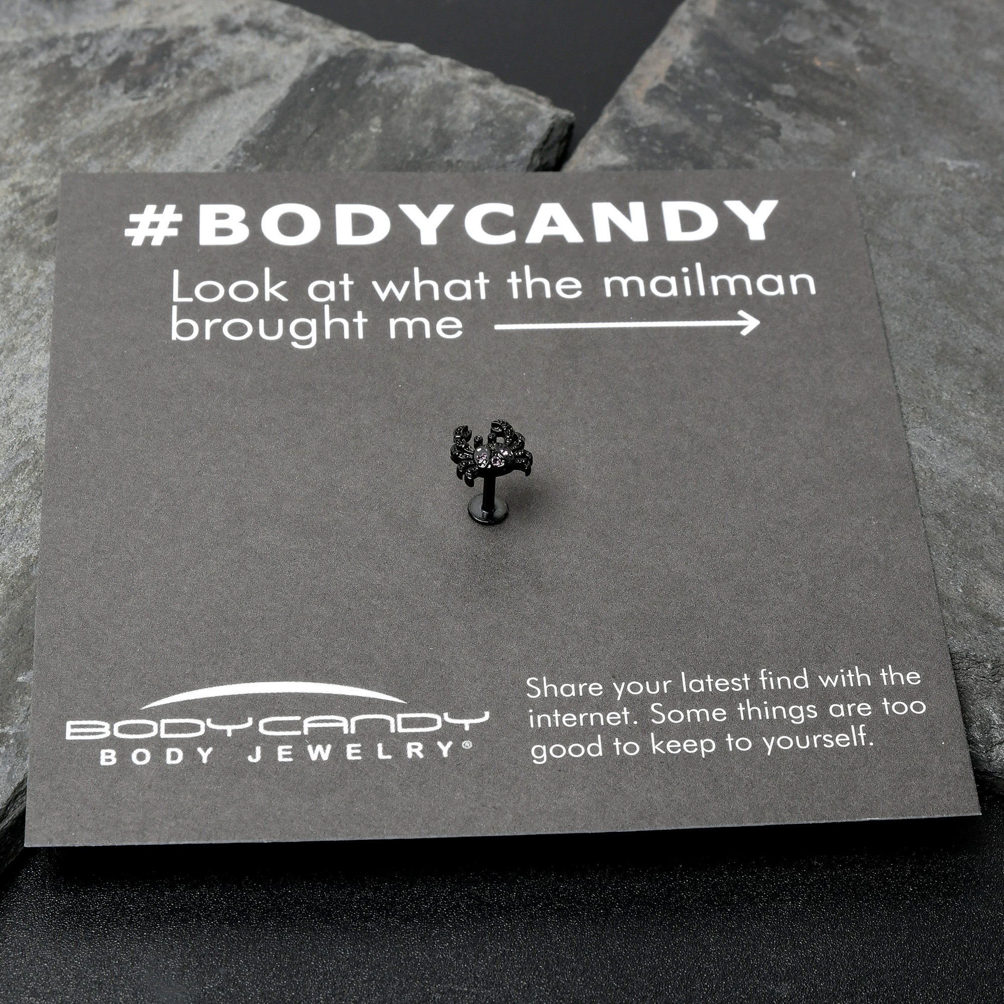 16G 1/4 Purple Gem Black Chic Crab Labret