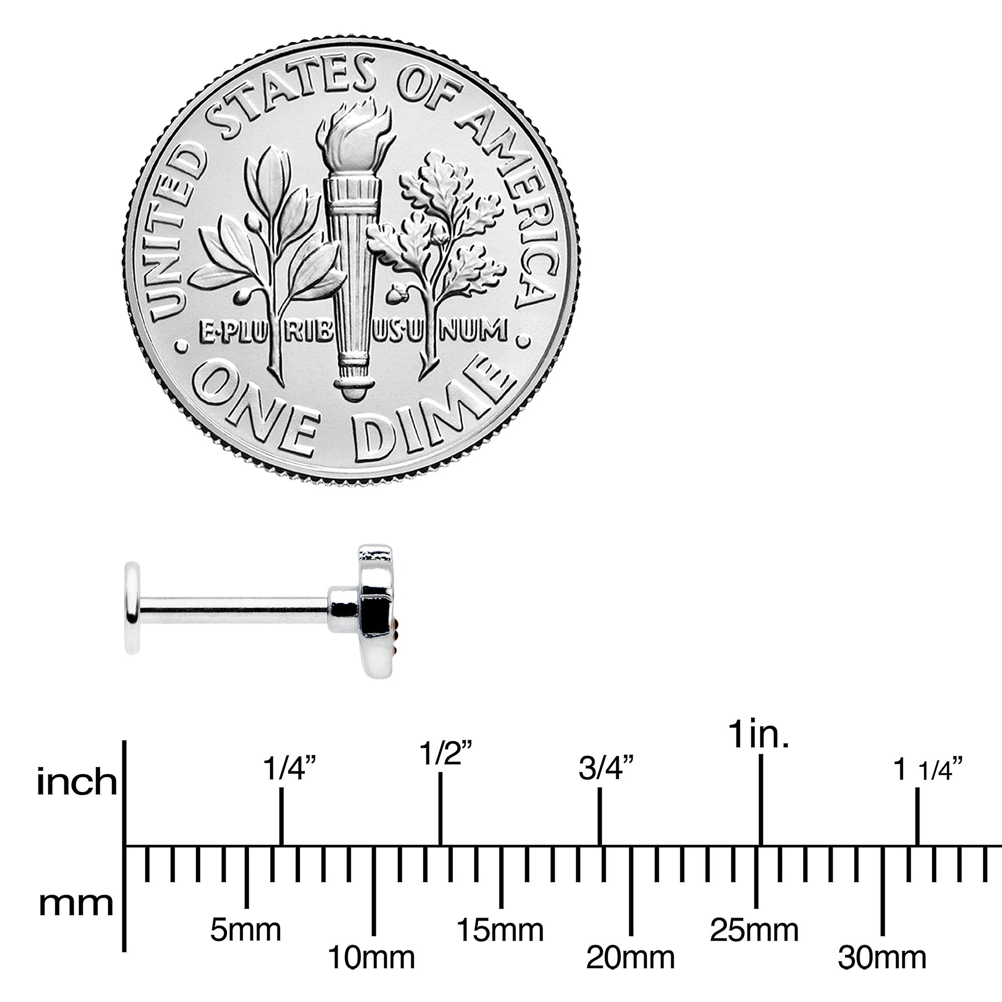 16G 5/16 Acorn Face Brown Autumn Labret Monroe Tragus