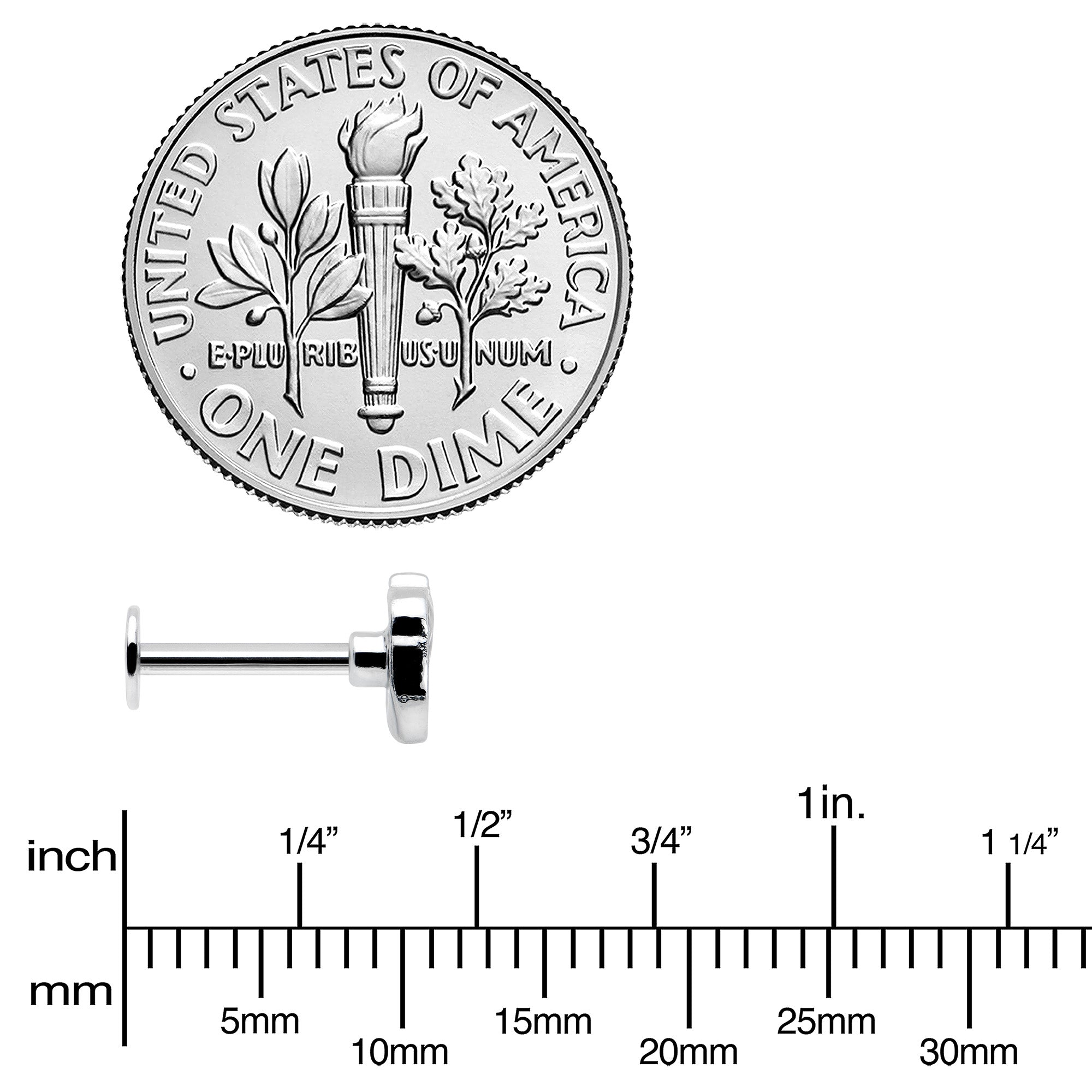 16G 5/16 Autumn Acorn Orange Brown Labret Monroe Tragus