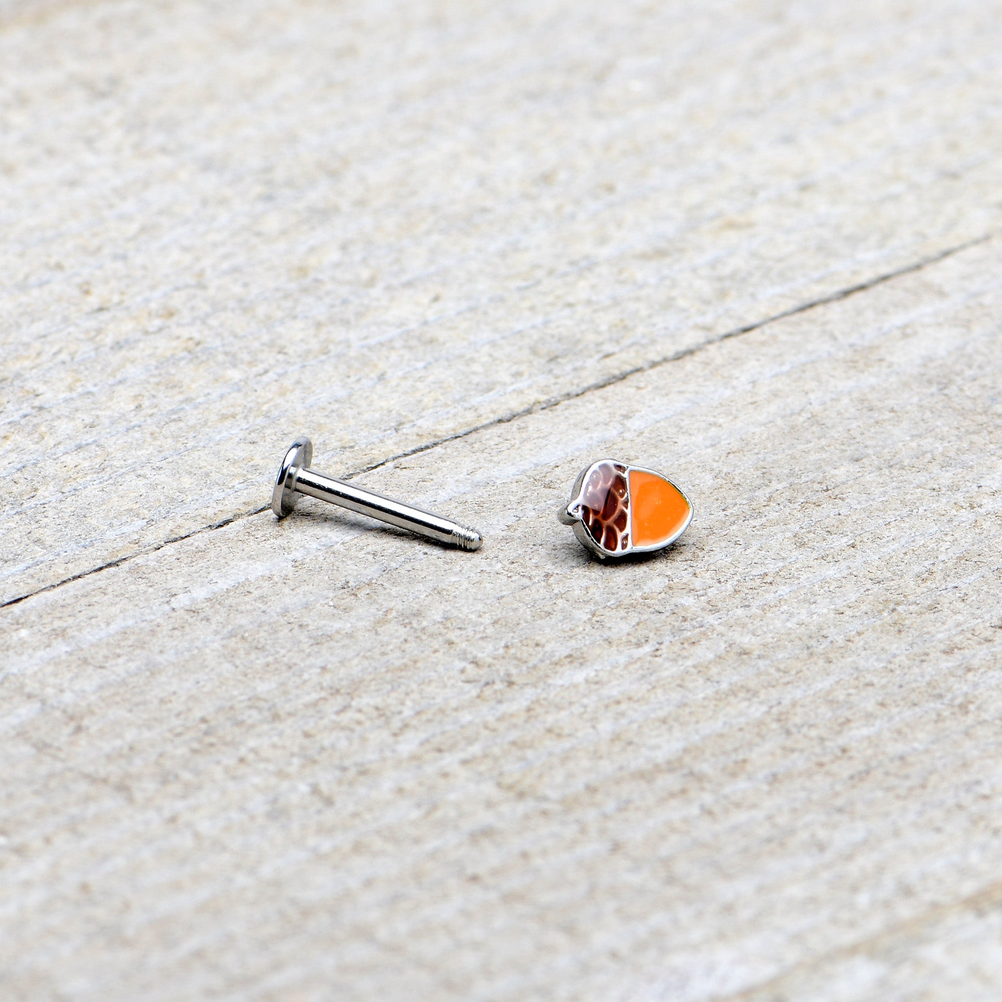 16G 5/16 Autumn Acorn Orange Brown Labret Monroe Tragus