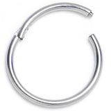 20 Gauge 5/16 316L Surgical Steel Precision Hinged Segment Hoop