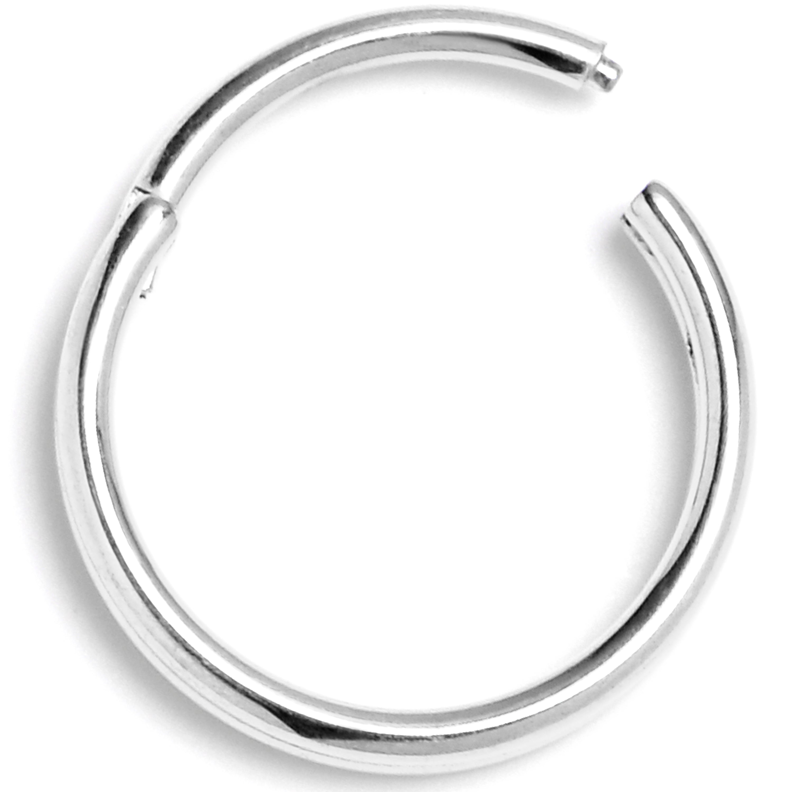 20G 5/16 316L Surgical Steel Double Precision Hinged Segment Ring