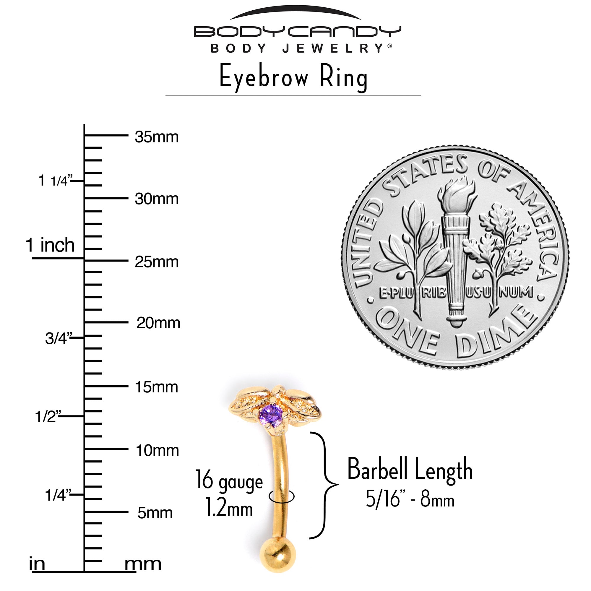 16G 5/16 Purple Gem Gold Tone Beauty Bug Curved Eyebrow Ring