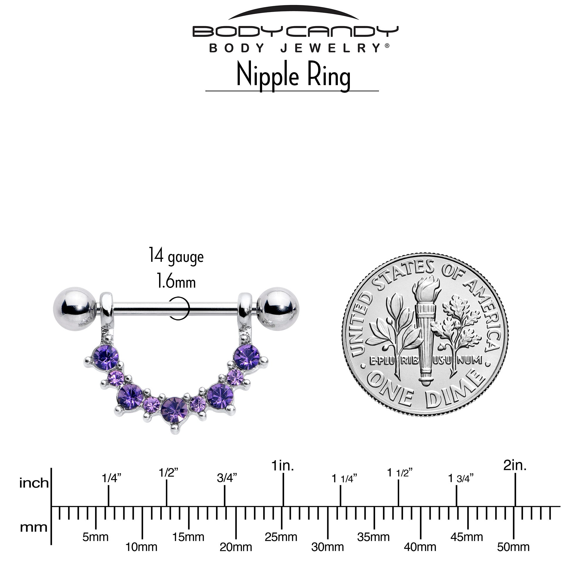 14 Gauge 9/16 Purple CZ Gem February Birthstone Dangle Nipple Shield Set