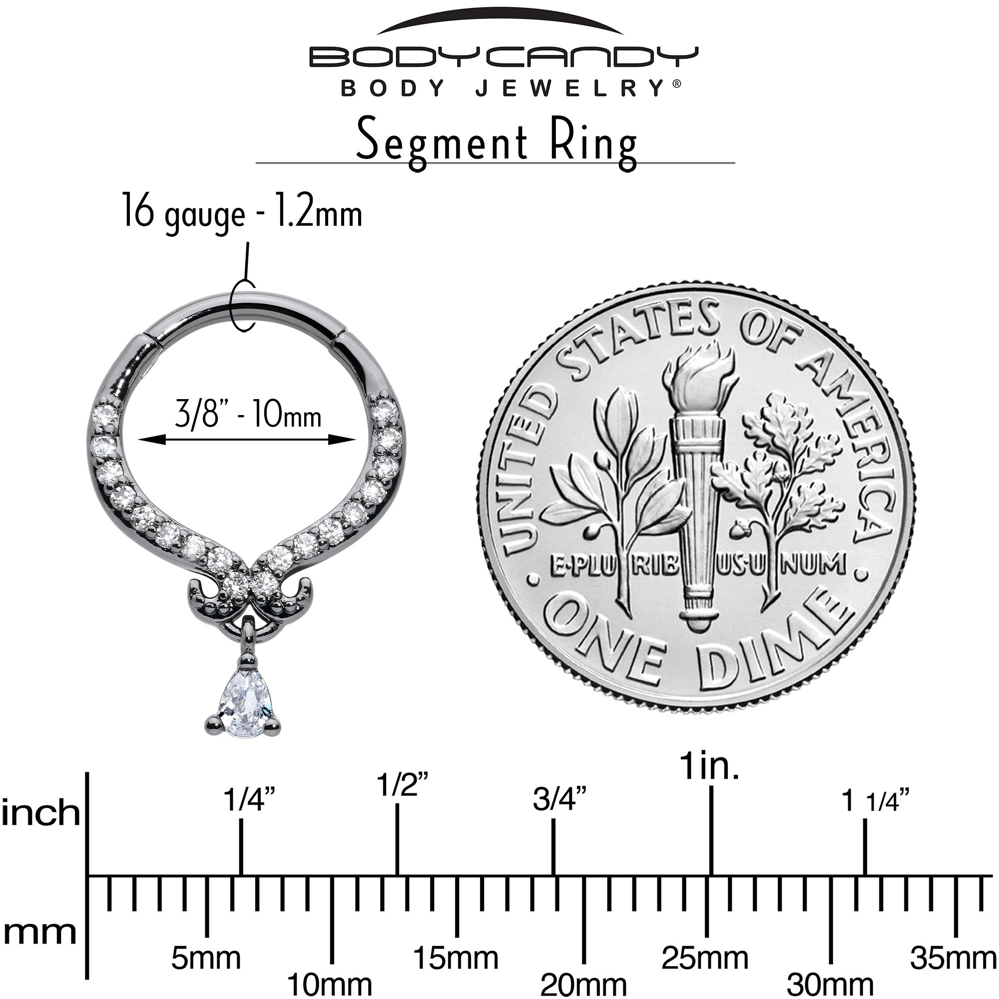 16G 3/8 Clear CZ Gem Black Elegant Curves Hinged Segment Ring