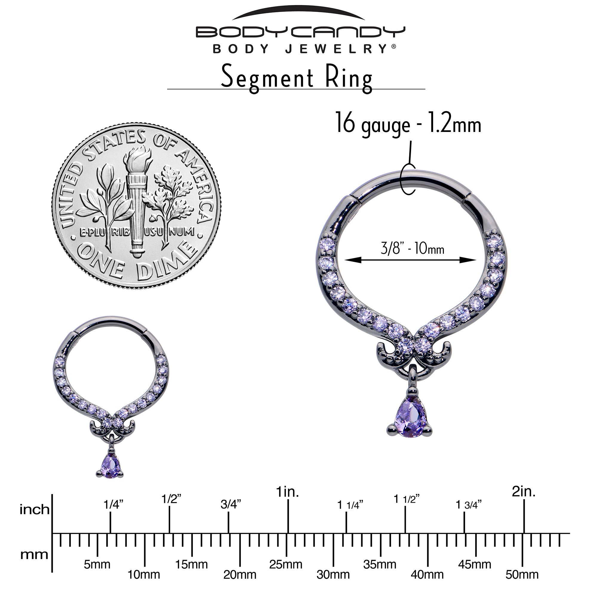 16G 3/8 Purple CZ Gem Black Elegant Curves Dangle Hinged Segment Ring