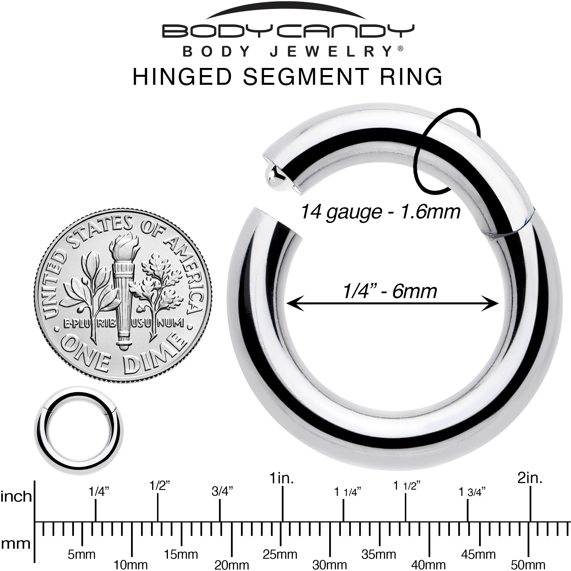 14 Gauge 1/4 316L Surgical Steel Precision Hinged Segment Hoop