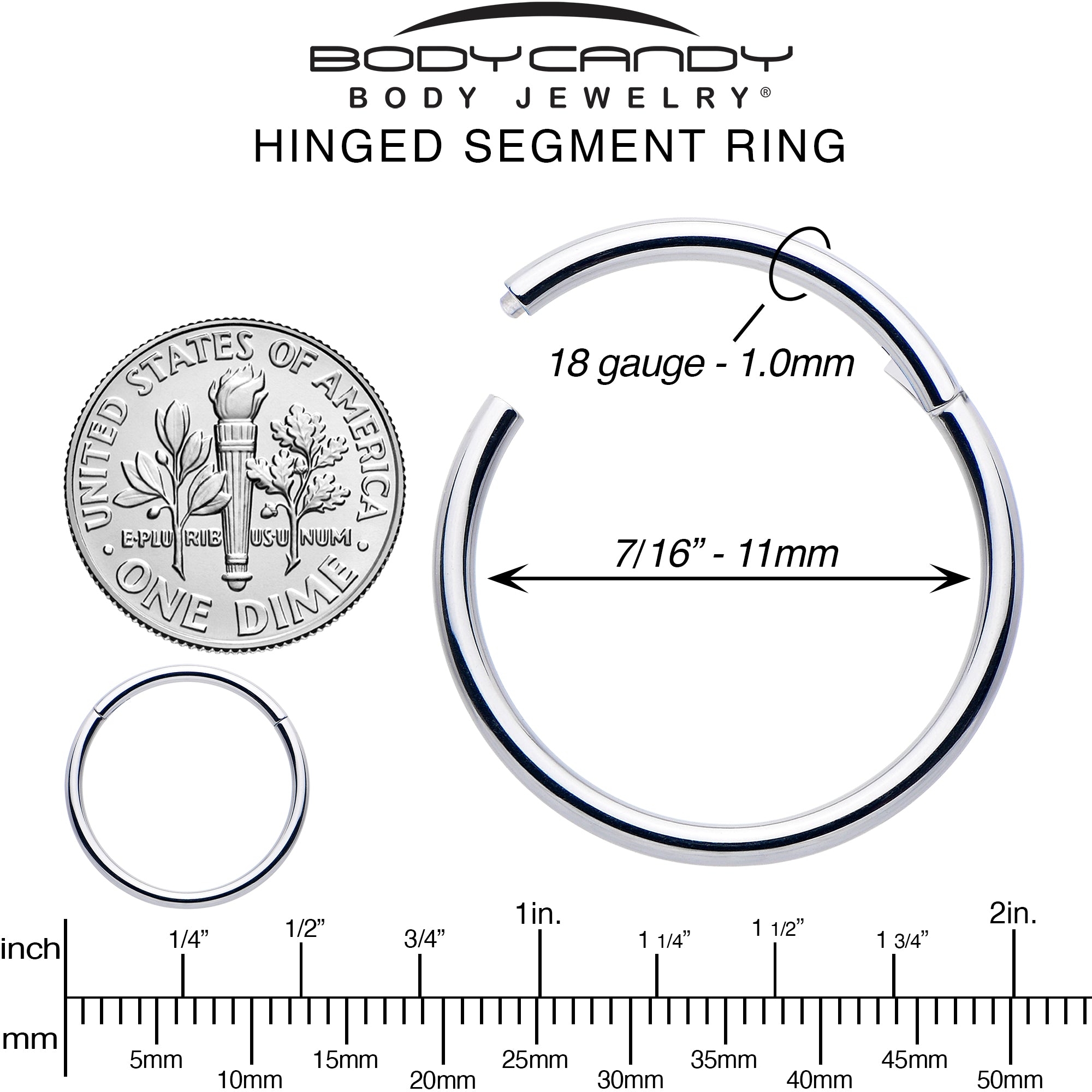 18G 7/16 316L Surgical Steel Precision Hinged Segment Hoop