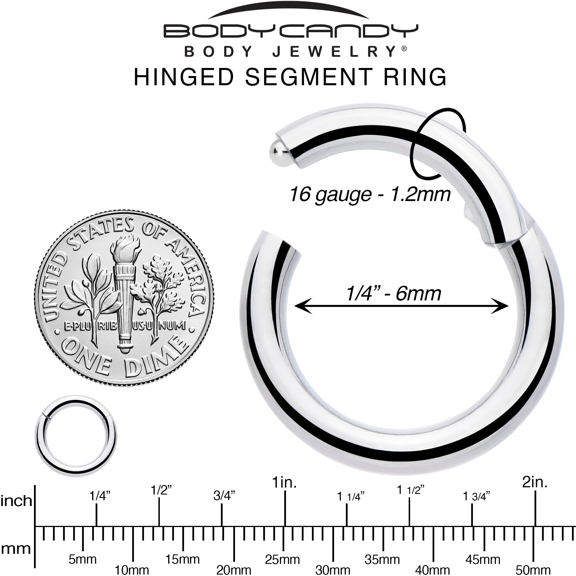 16 Gauge 1/4 316L Surgical Steel Precision Hinged Segment Hoop