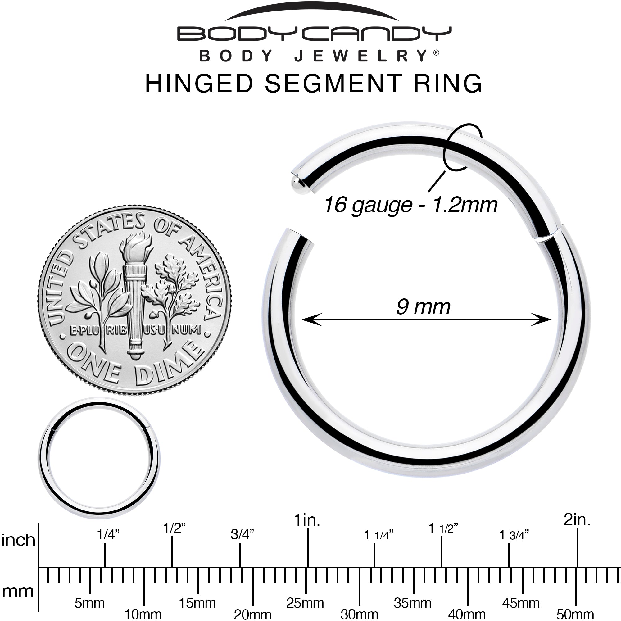 16G 9mm 316L Surgical Steel Precision Hinged Segment Hoop