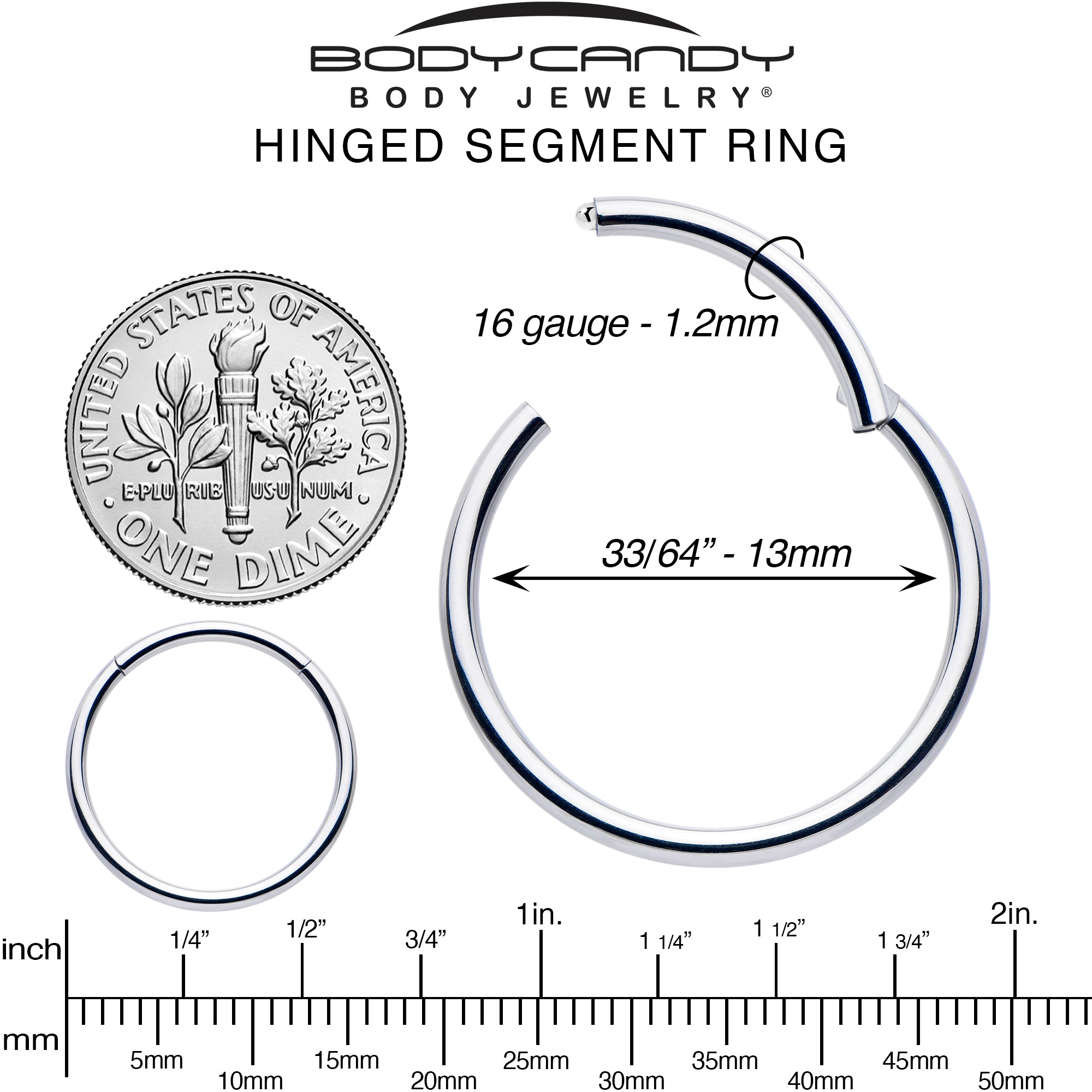 16 Gauge 13mm 316L Surgical Steel Precision Hinged Segment Hoop