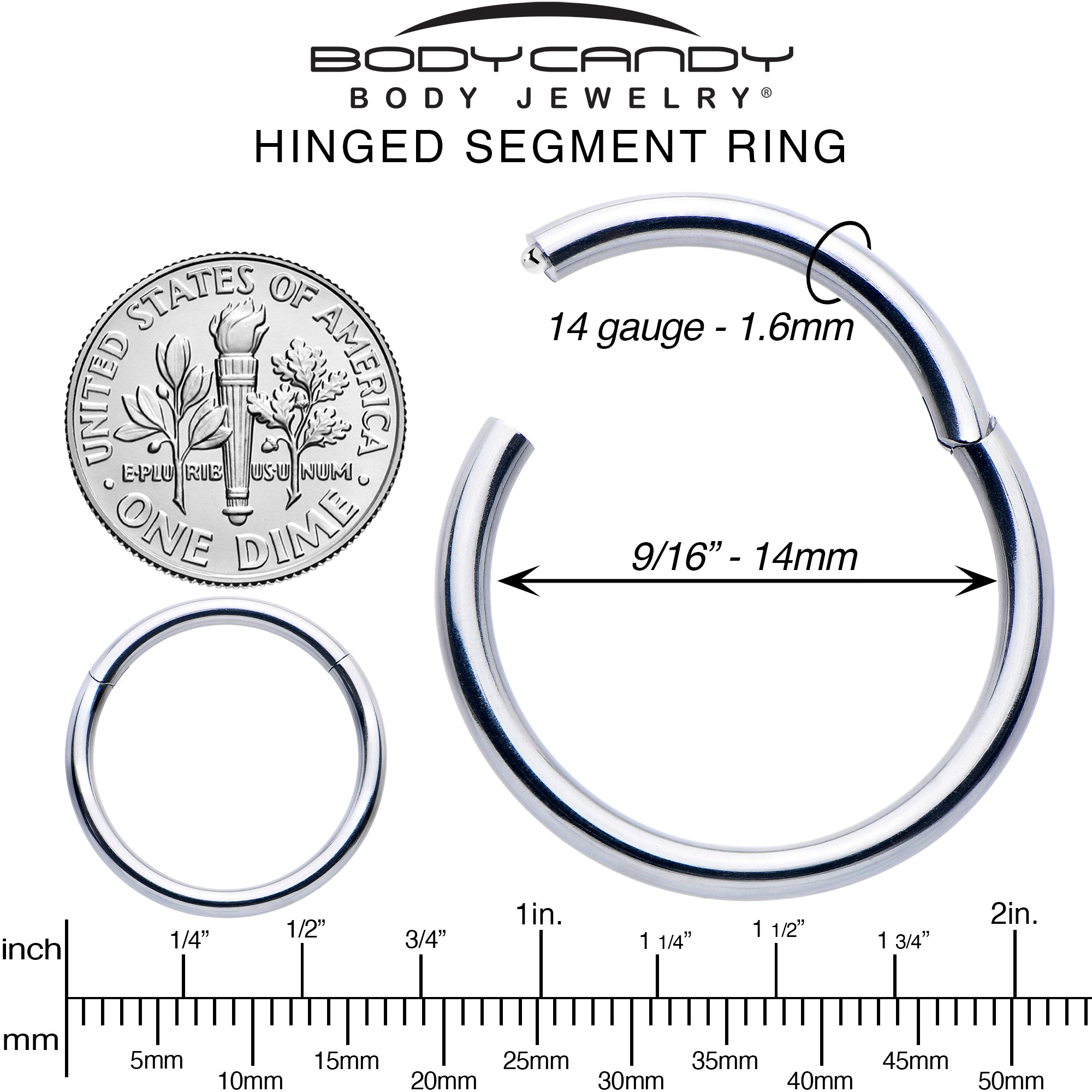 14G 9/16 316L Surgical Steel Precision Hinged Segment Hoop