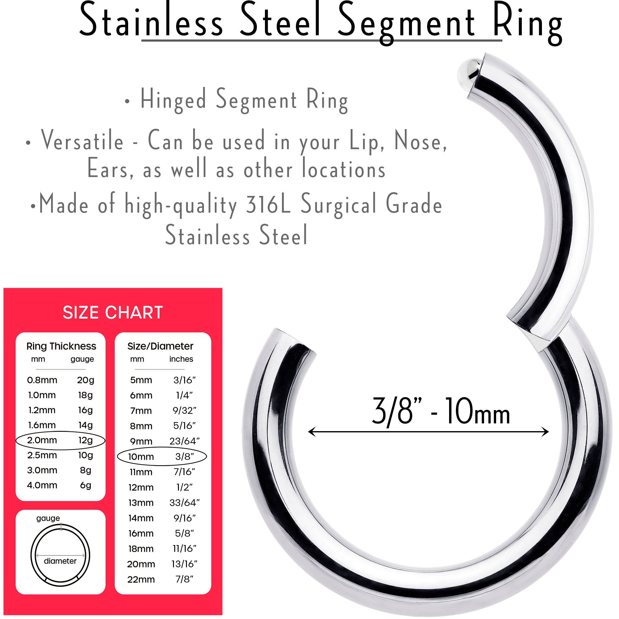 12 Gauge 3/8 316L Surgical Steel Precision Hinged Segment Hoop