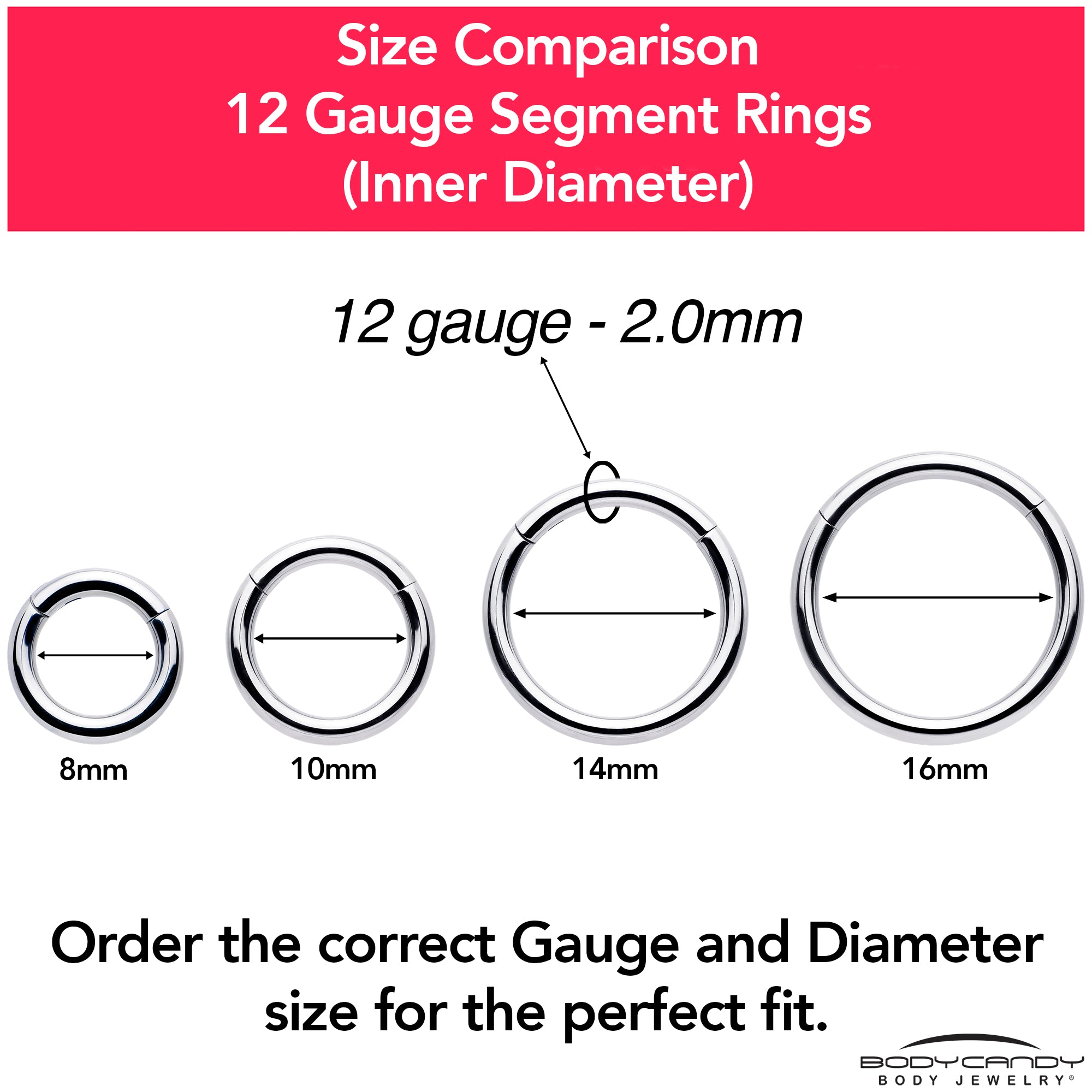 12 Gauge 3/8 316L Surgical Steel Precision Hinged Segment Hoop