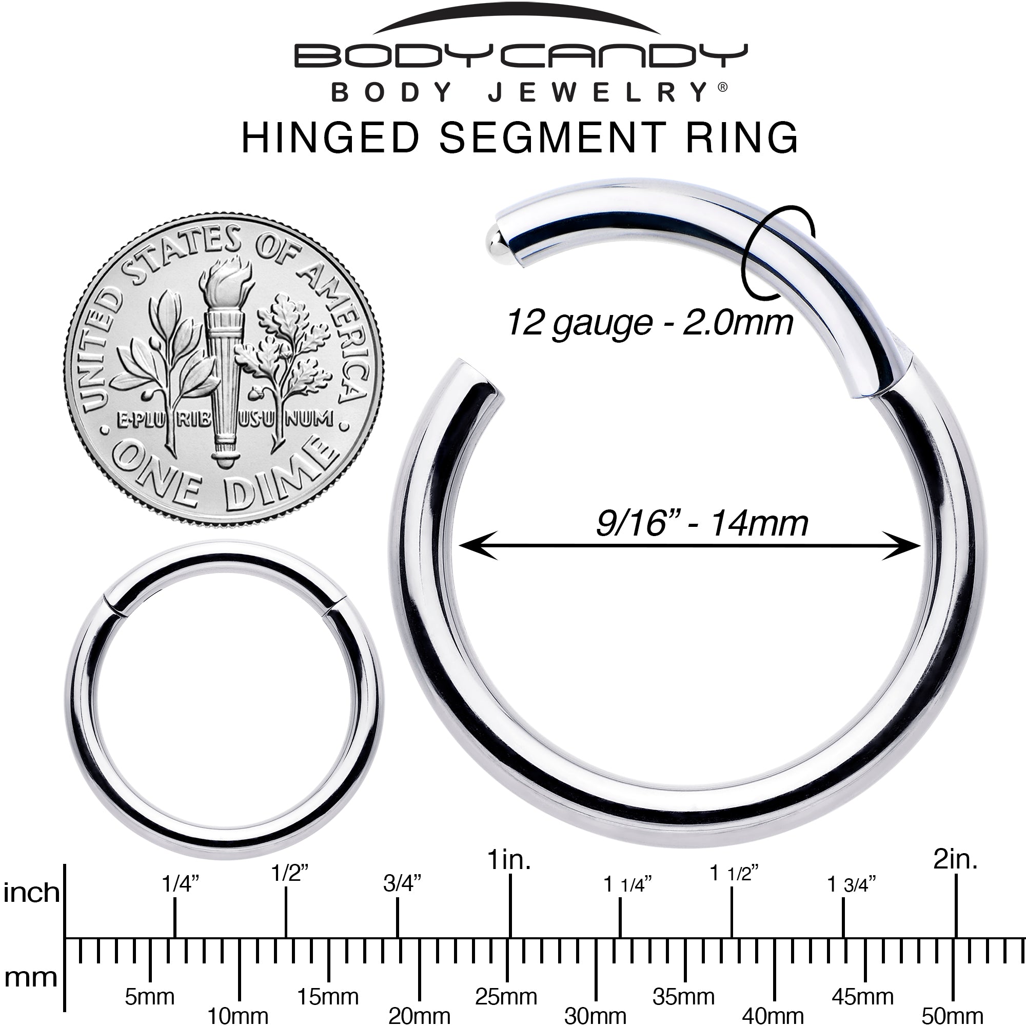 12 Gauge 9/16 316L Surgical Steel Precision Hinged Segment Hoop