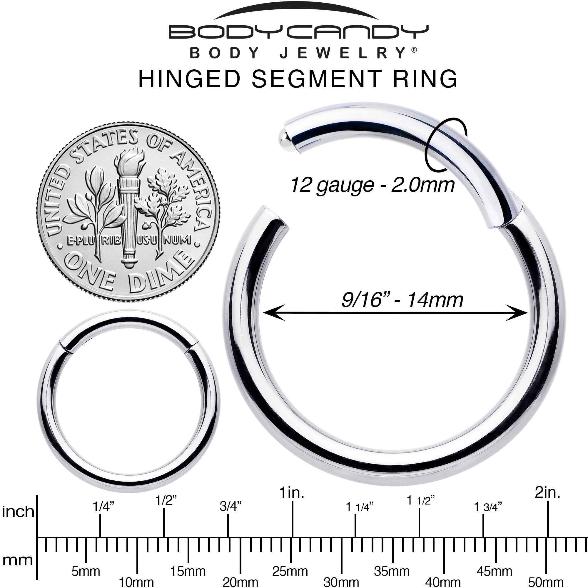 12G 9/16 316L Surgical Steel Precision Hinged Segment Hoop