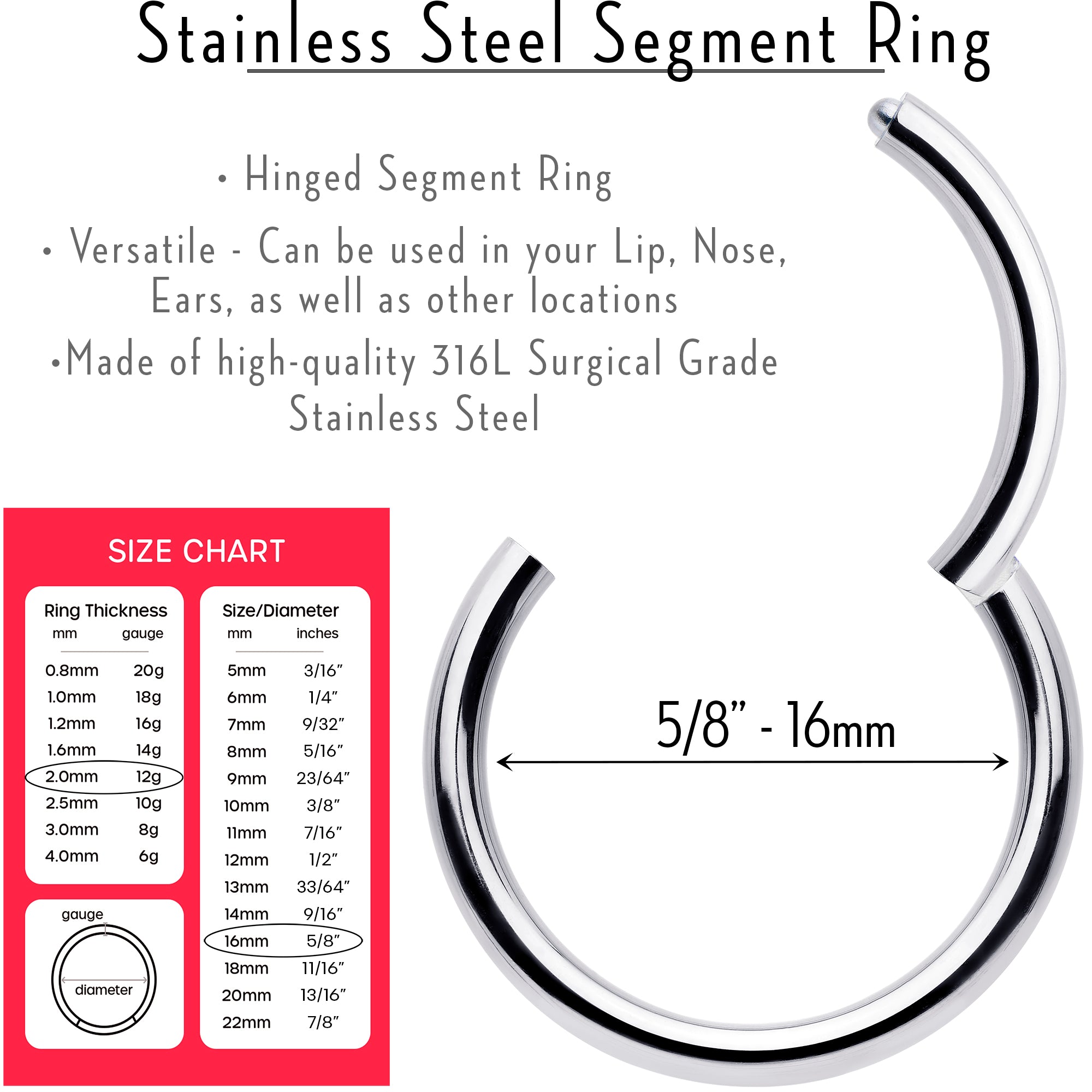 12 Gauge 5/8 316L Surgical Steel Precision Hinged Segment Hoop