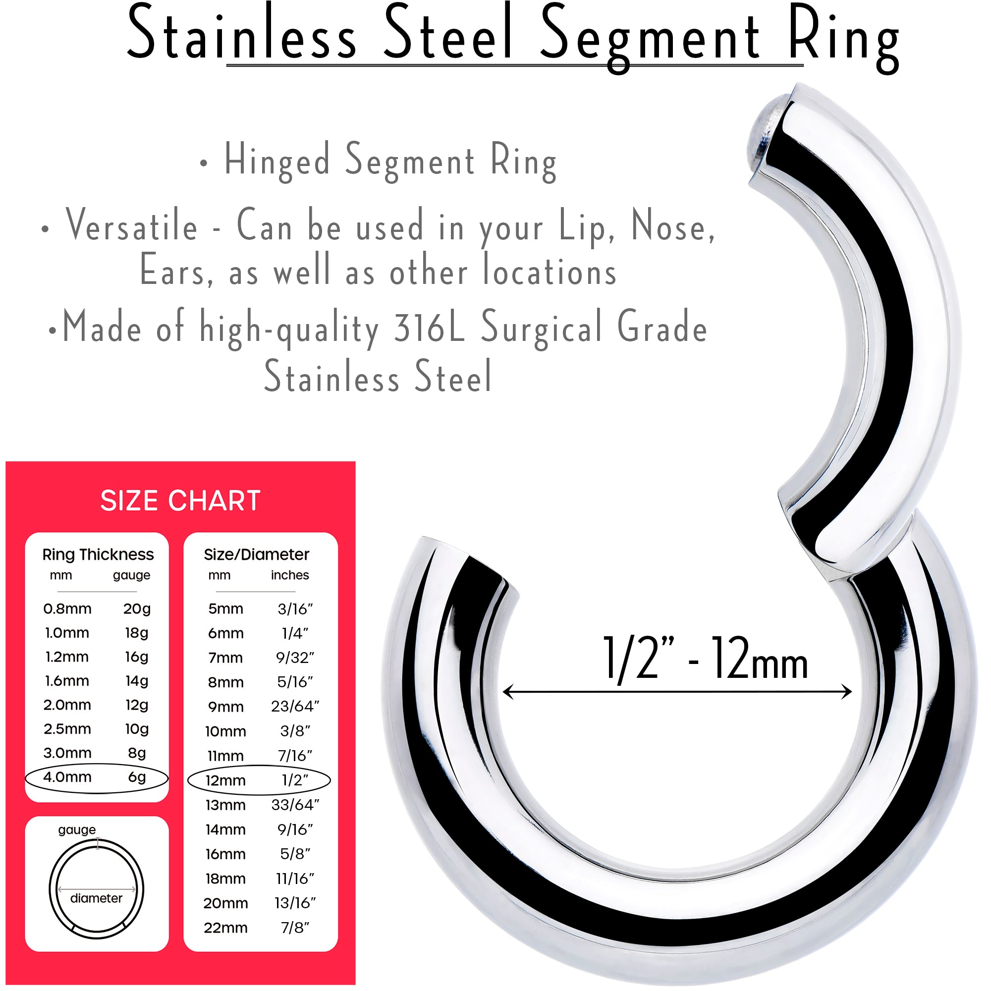 6 Gauge 1/2 316L Surgical Steel Precision Hinged Segment Hoop