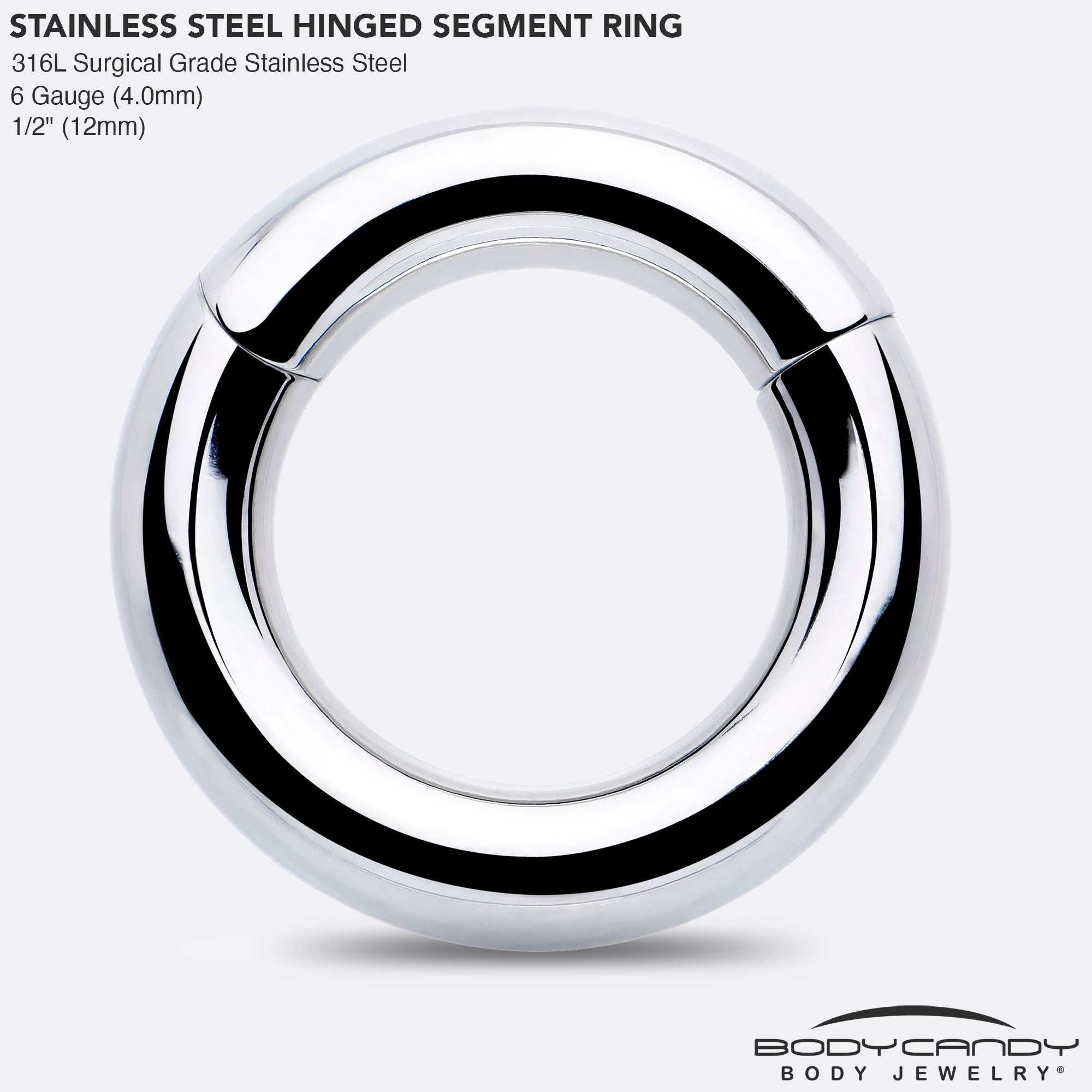 6G 1/2 316L Surgical Steel Precision Hinged Segment Hoop