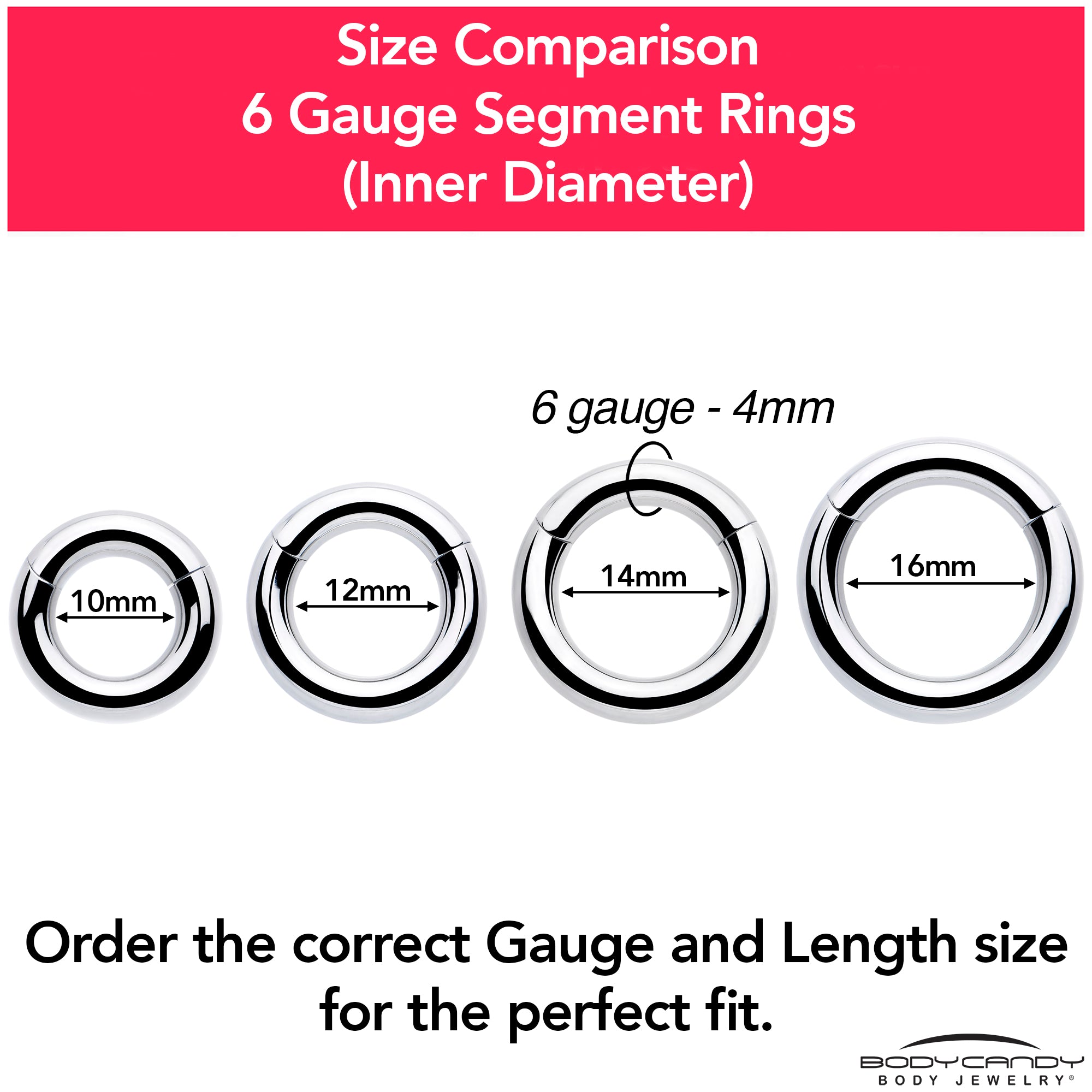 6G 1/2 316L Surgical Steel Precision Hinged Segment Hoop