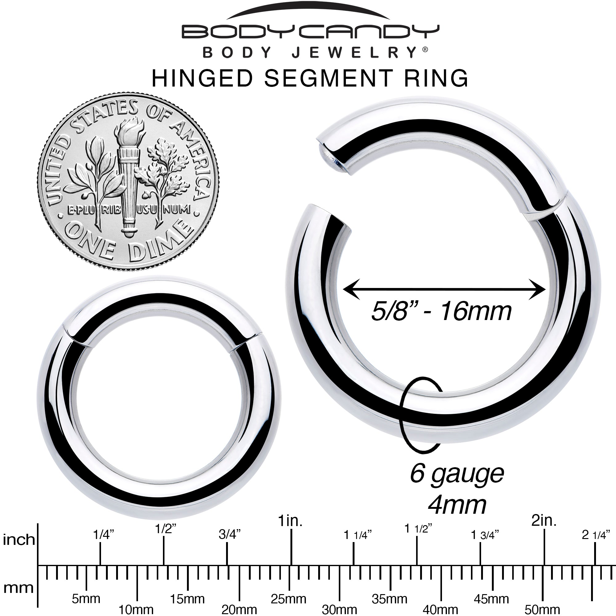 6 Gauge 5/8 316L Surgical Steel Precision Hinged Segment Hoop
