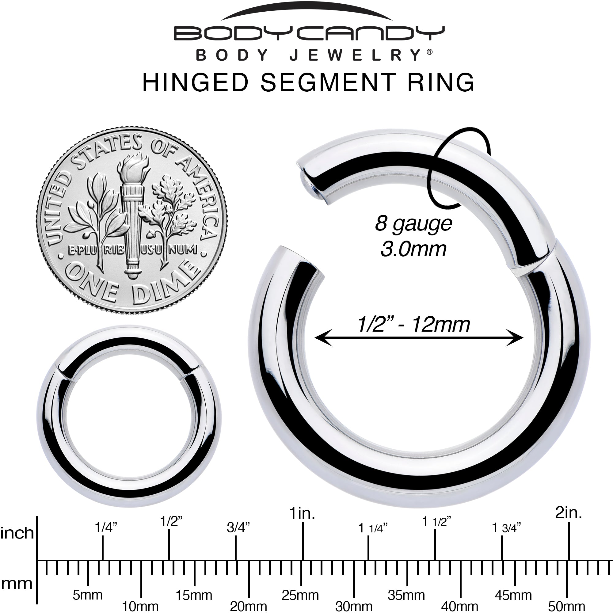 8 Gauge 1/2 316L Surgical Steel Precision Hinged Segment Hoop