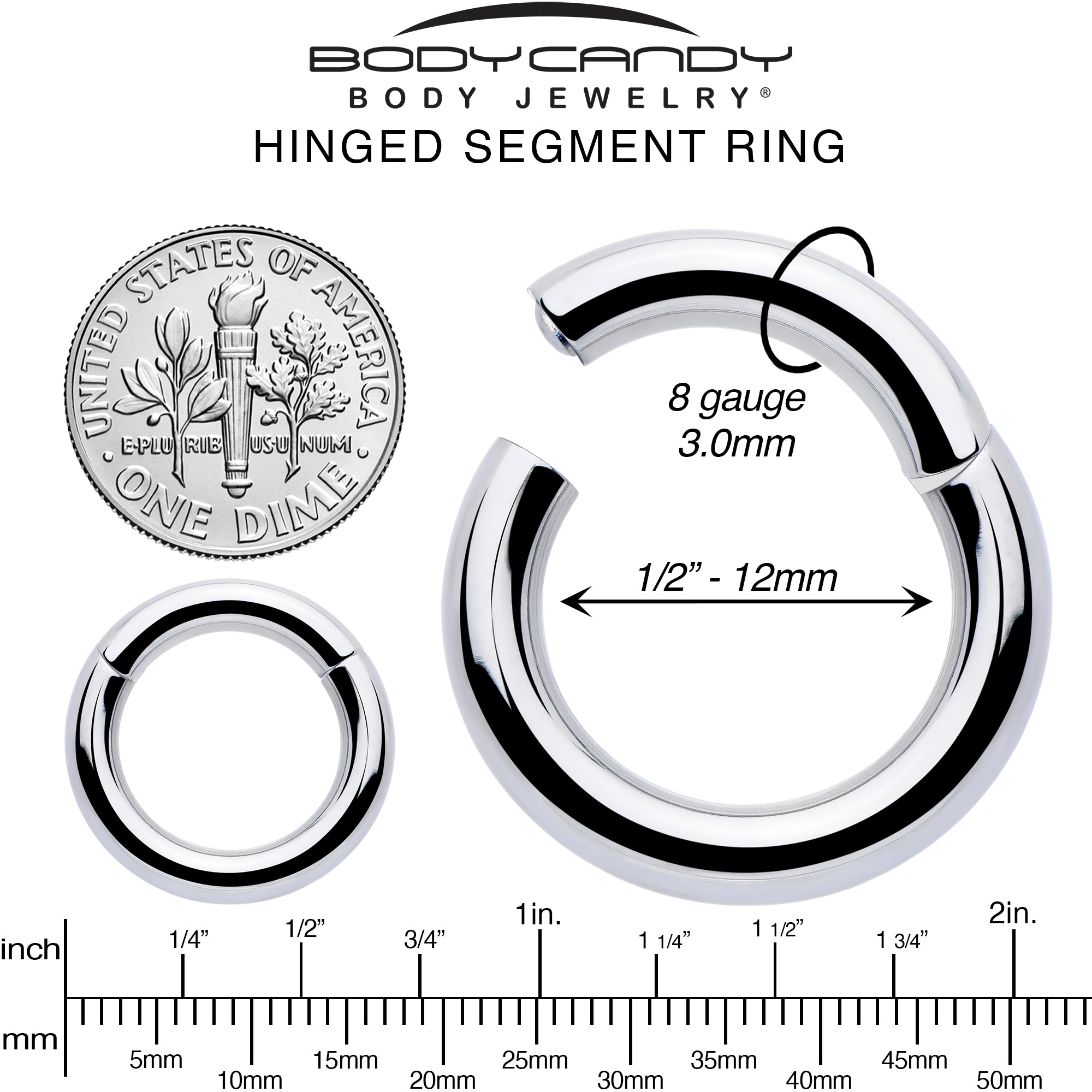8G 1/2 316L Surgical Steel Precision Hinged Segment Hoop