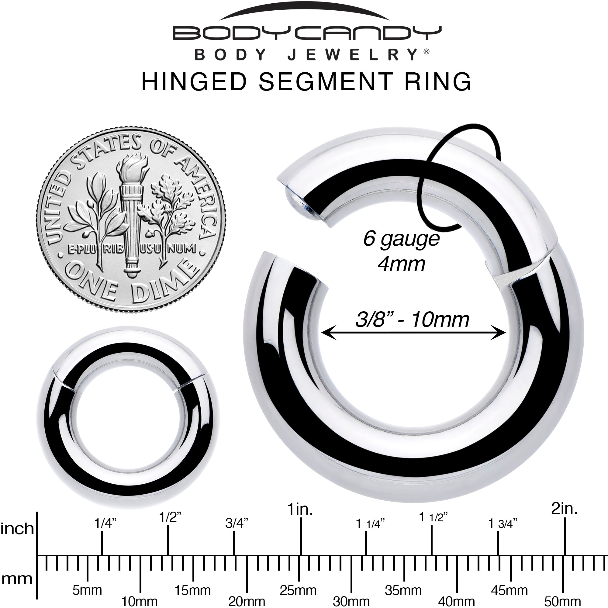 6 Gauge 3/8 316L Surgical Steel Precision Hinged Segment Hoop