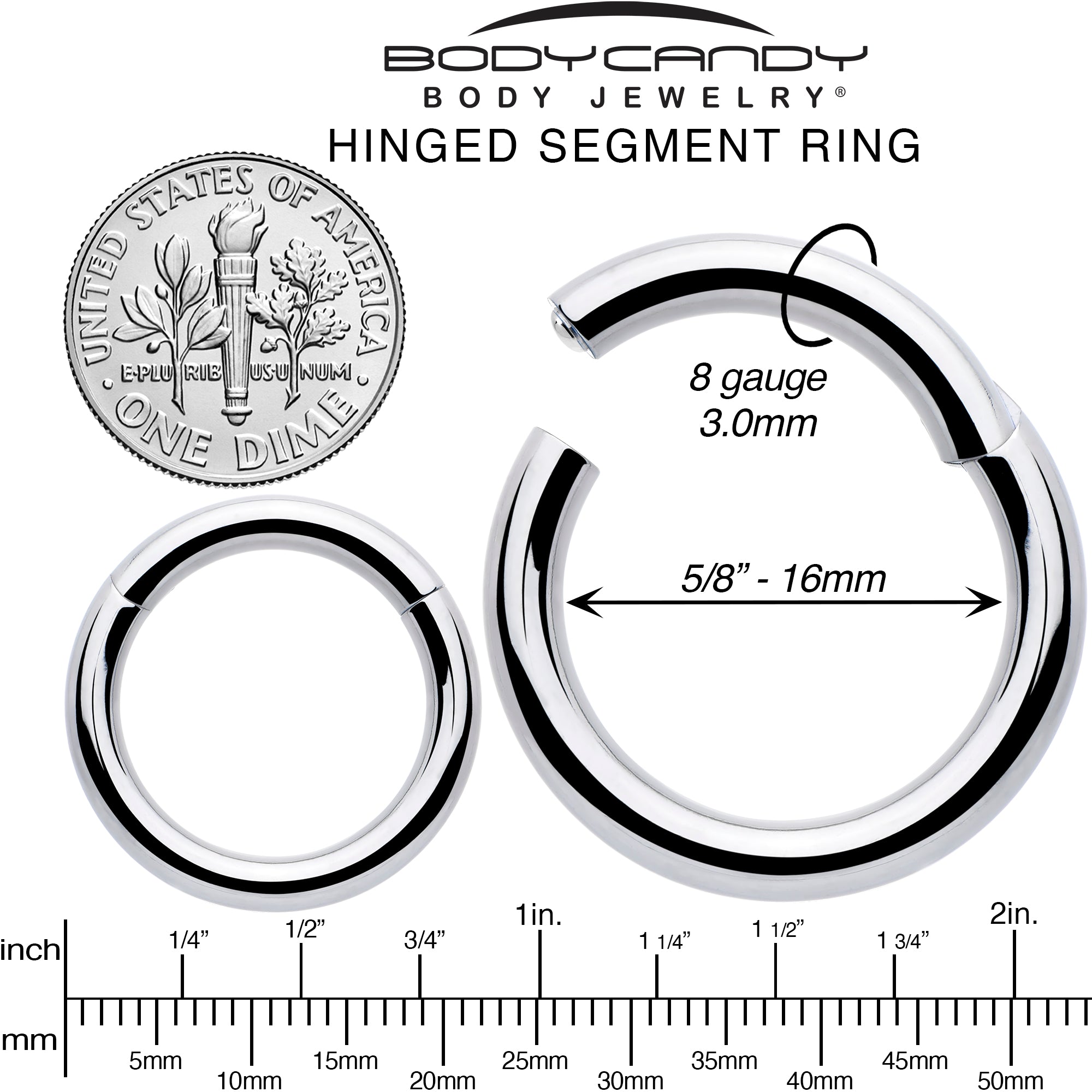 8 Gauge 5/8 316L Surgical Steel Precision Hinged Segment Hoop