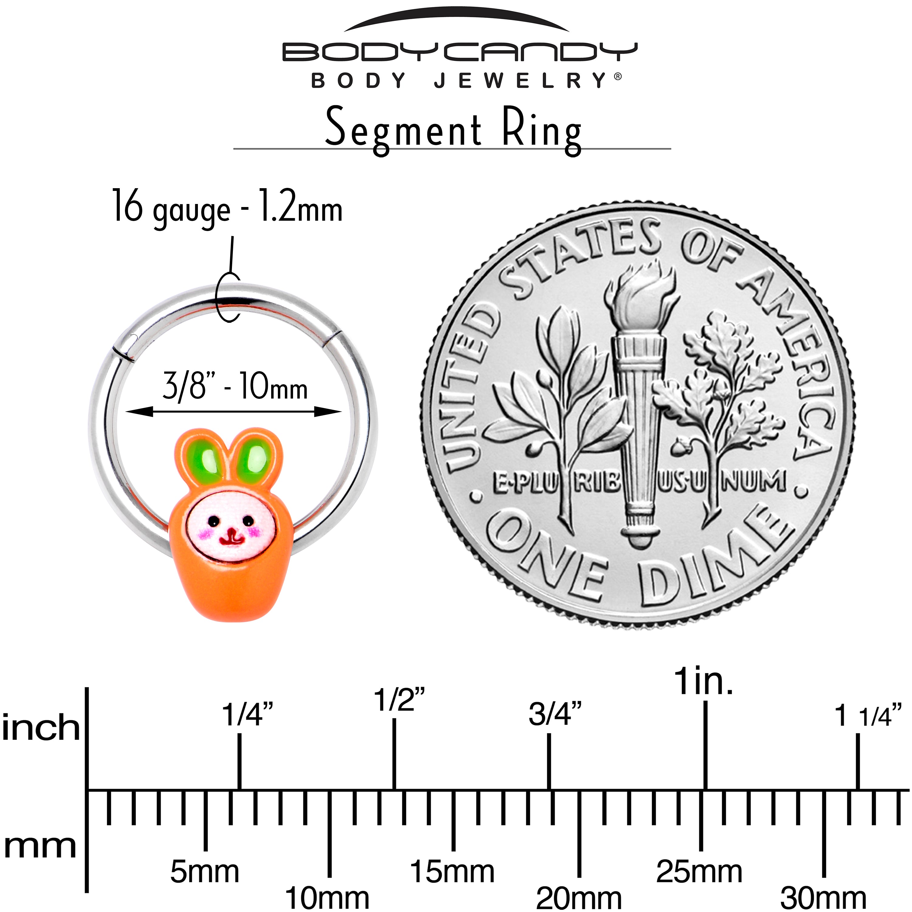 16G 3/8 Surprise Carrot Easter Bunny Hinged Segment Ring
