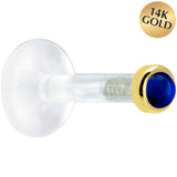 Solid 14KT Yellow Gold 2mm Genuine Blue Sapphire Bioplast Push in Labret