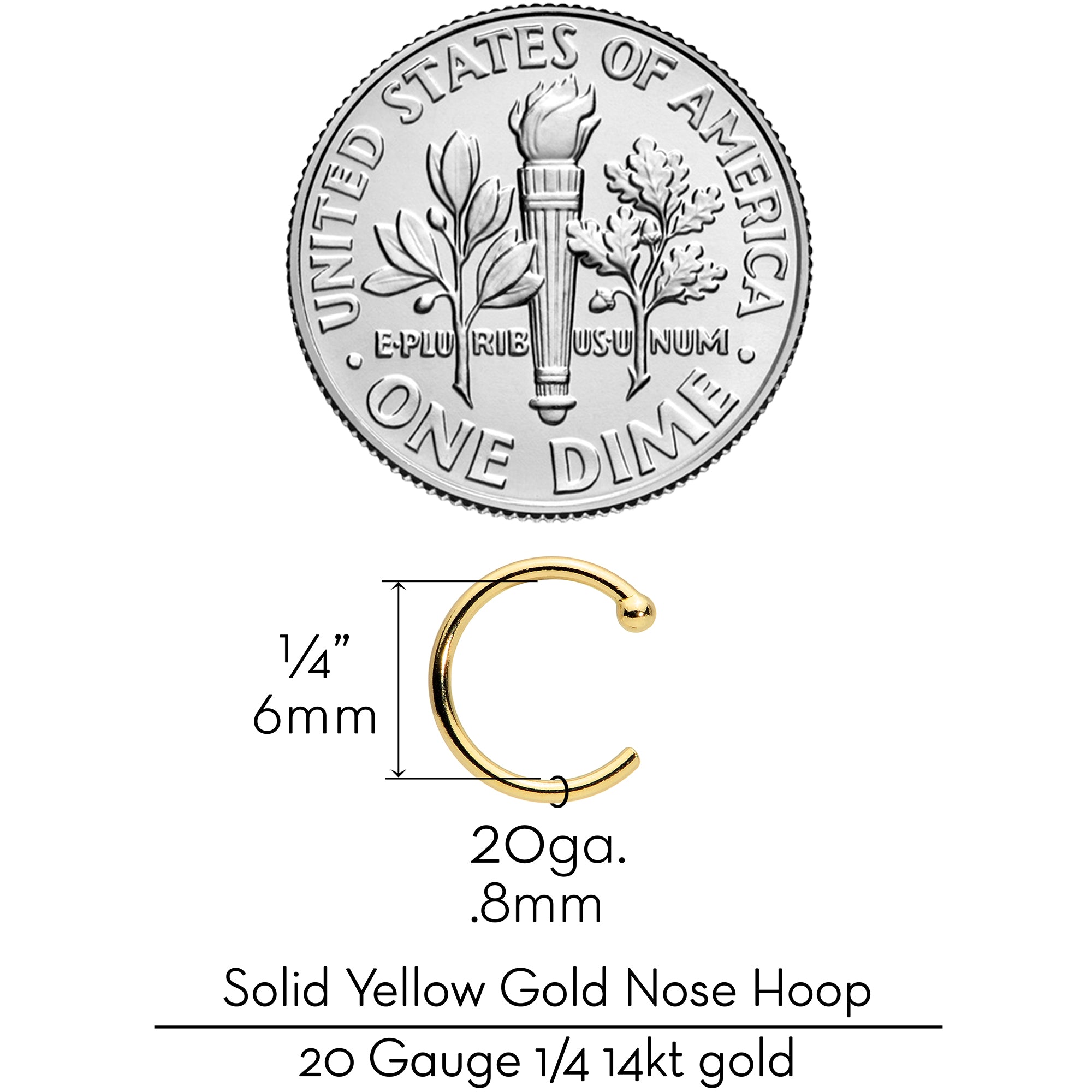 20 Gauge 1/4 14kt Solid Yellow Gold Nose Hoop